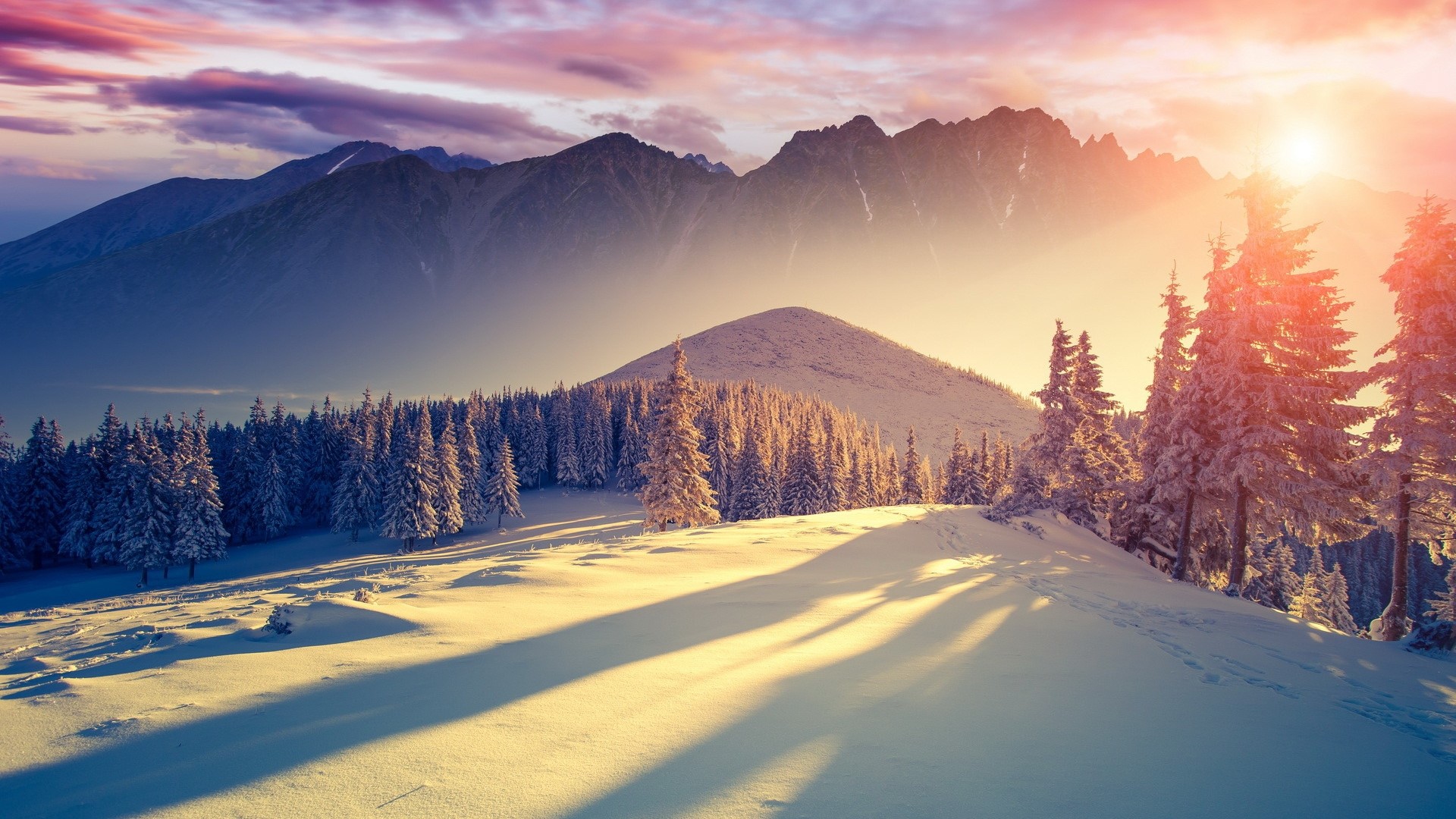 Winter mountain landscape with snow-covered trees at sunset HD Wallpaper