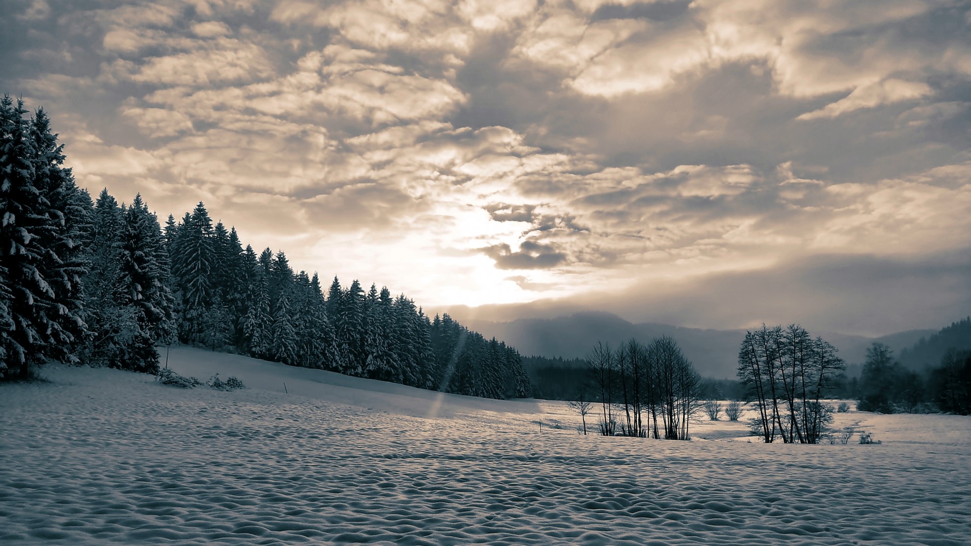 Winter landscape with snow-covered trees and cloudy sky HD Wallpaper