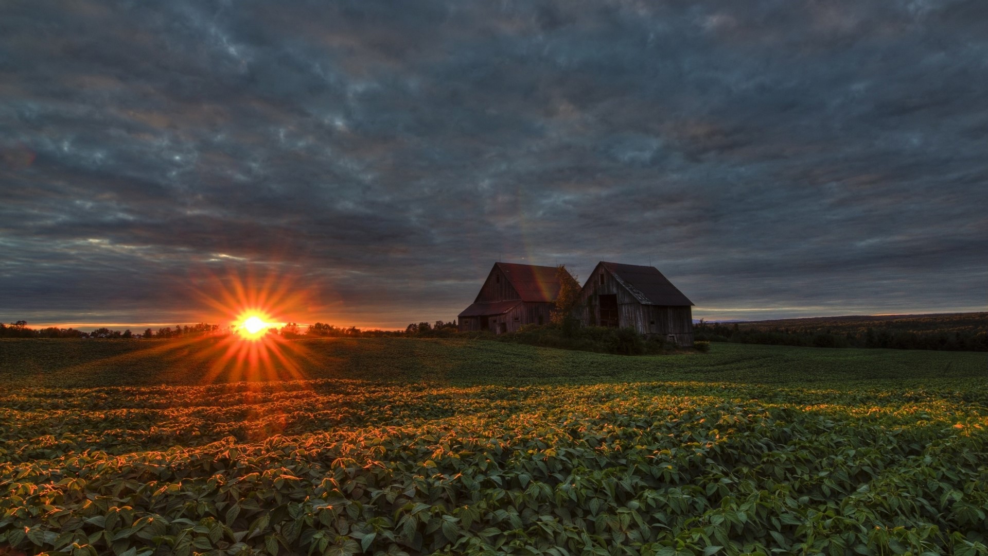 Sunset over a farm field with barns HD Wallpaper
