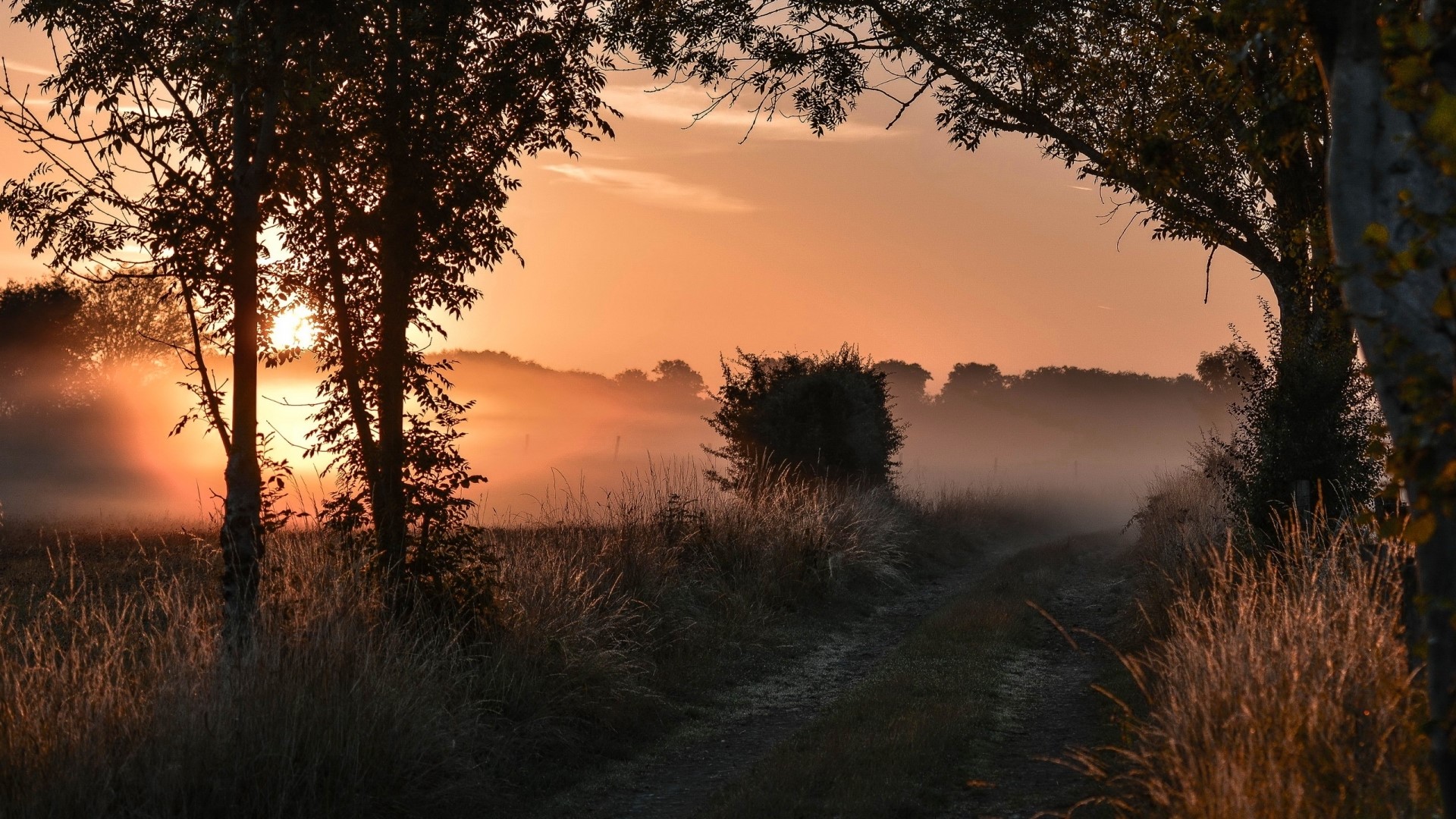 Misty Morning Sunrise Over a Country Road HD Wallpaper