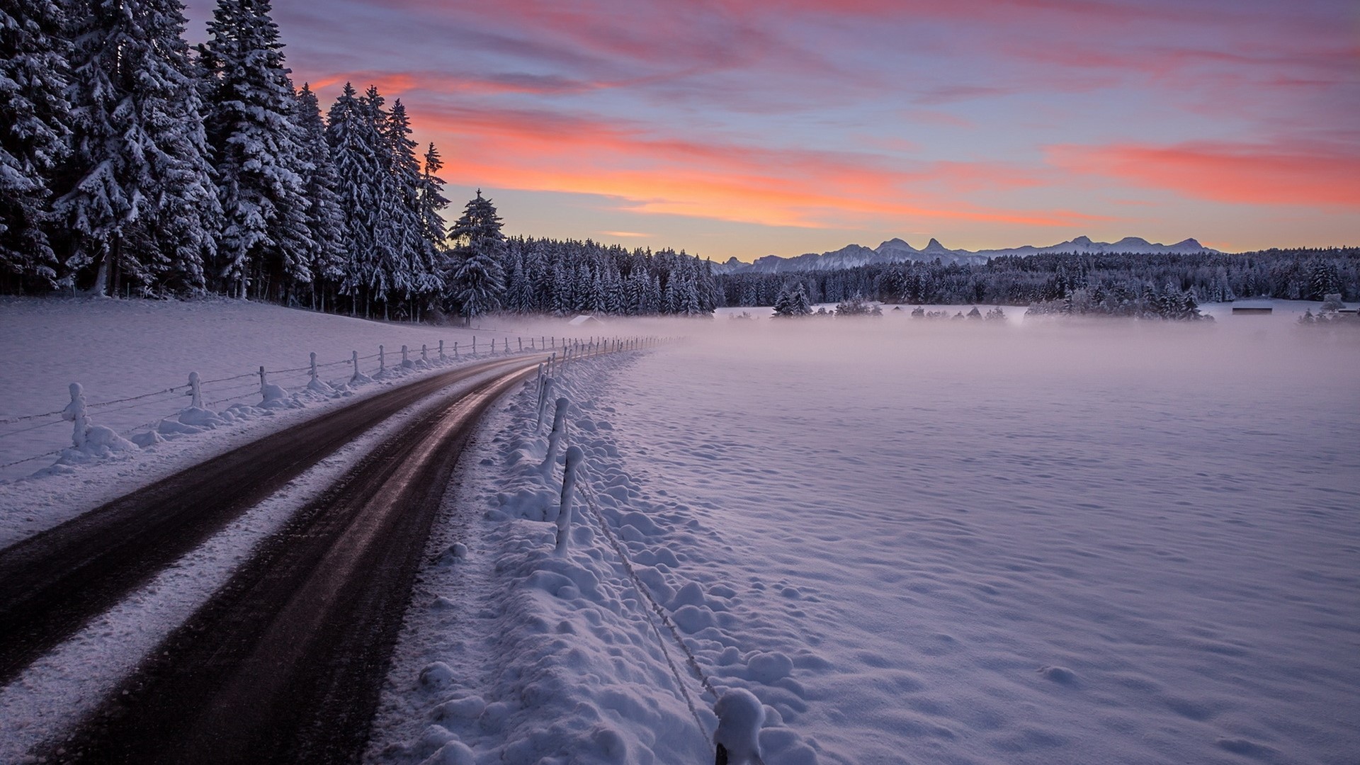 Snowy road through a winter forest at sunset HD Wallpaper