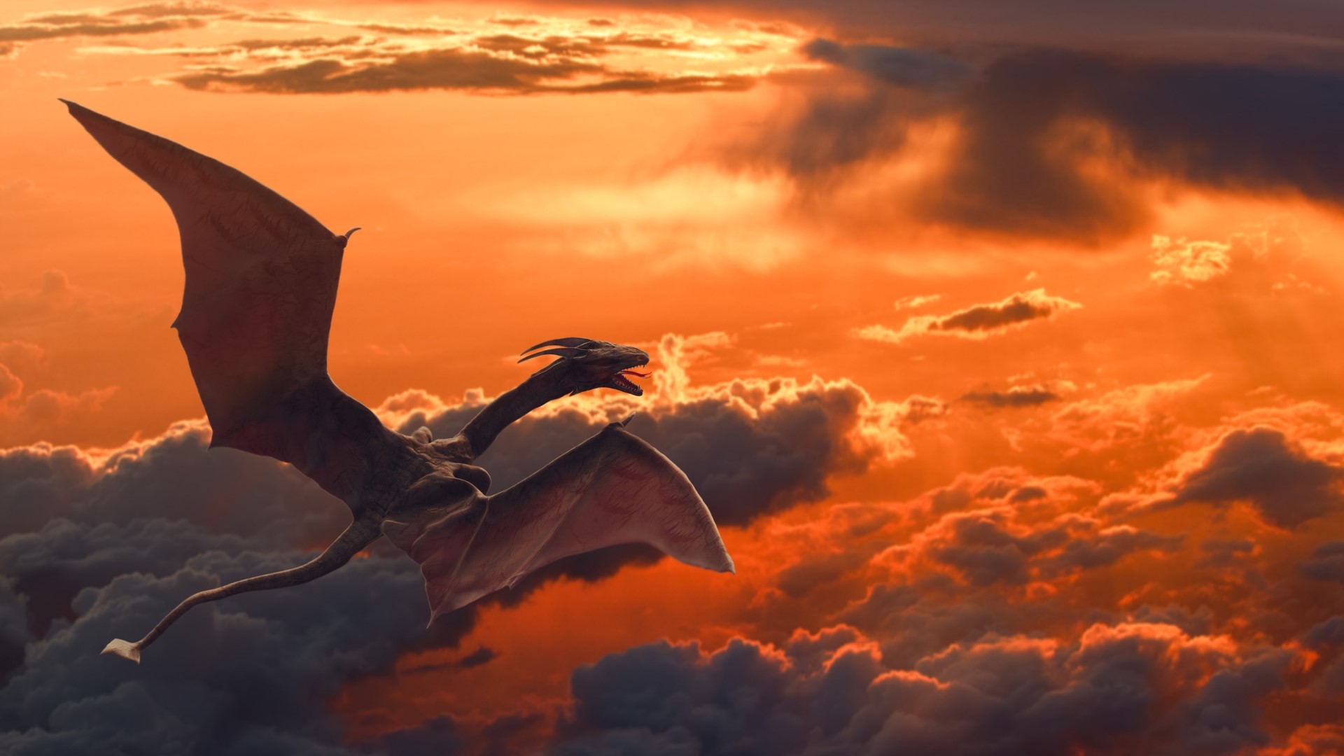Dragon flying through clouds at sunset HD Wallpaper