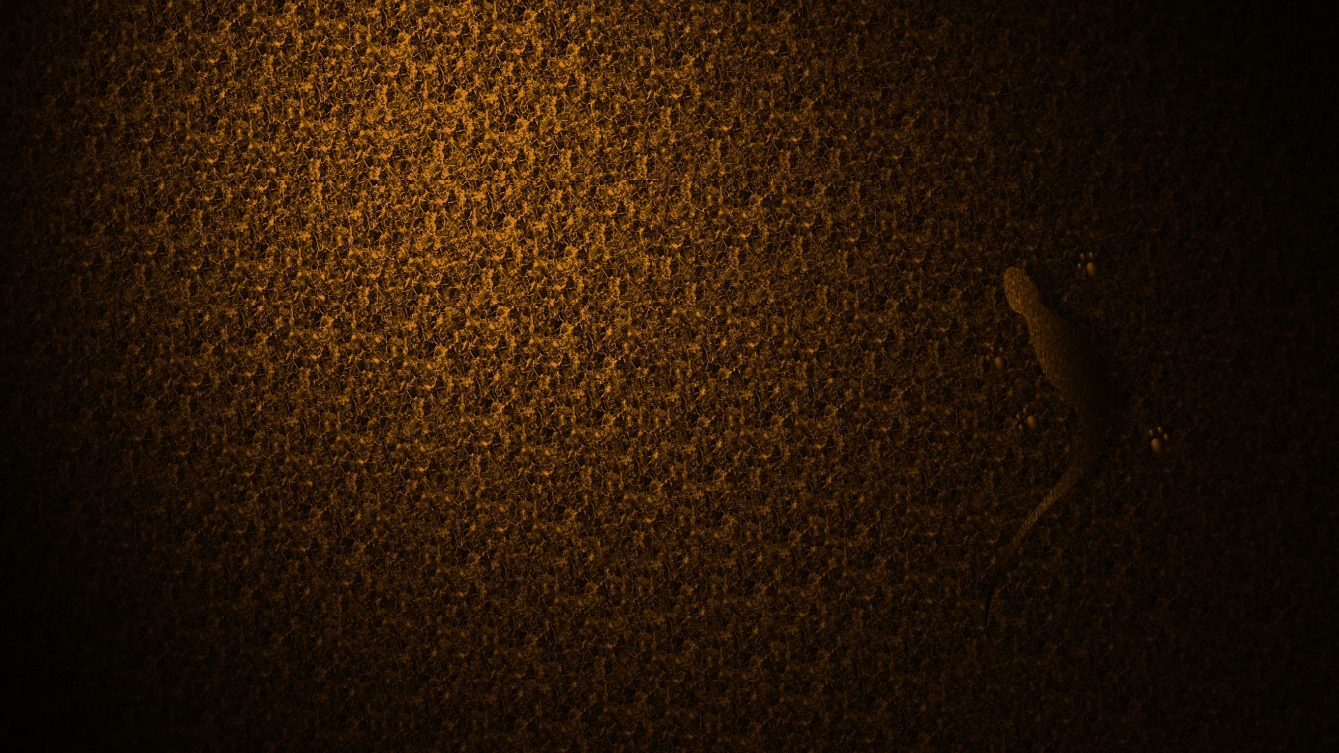Lizard on a textured wall HD Wallpaper