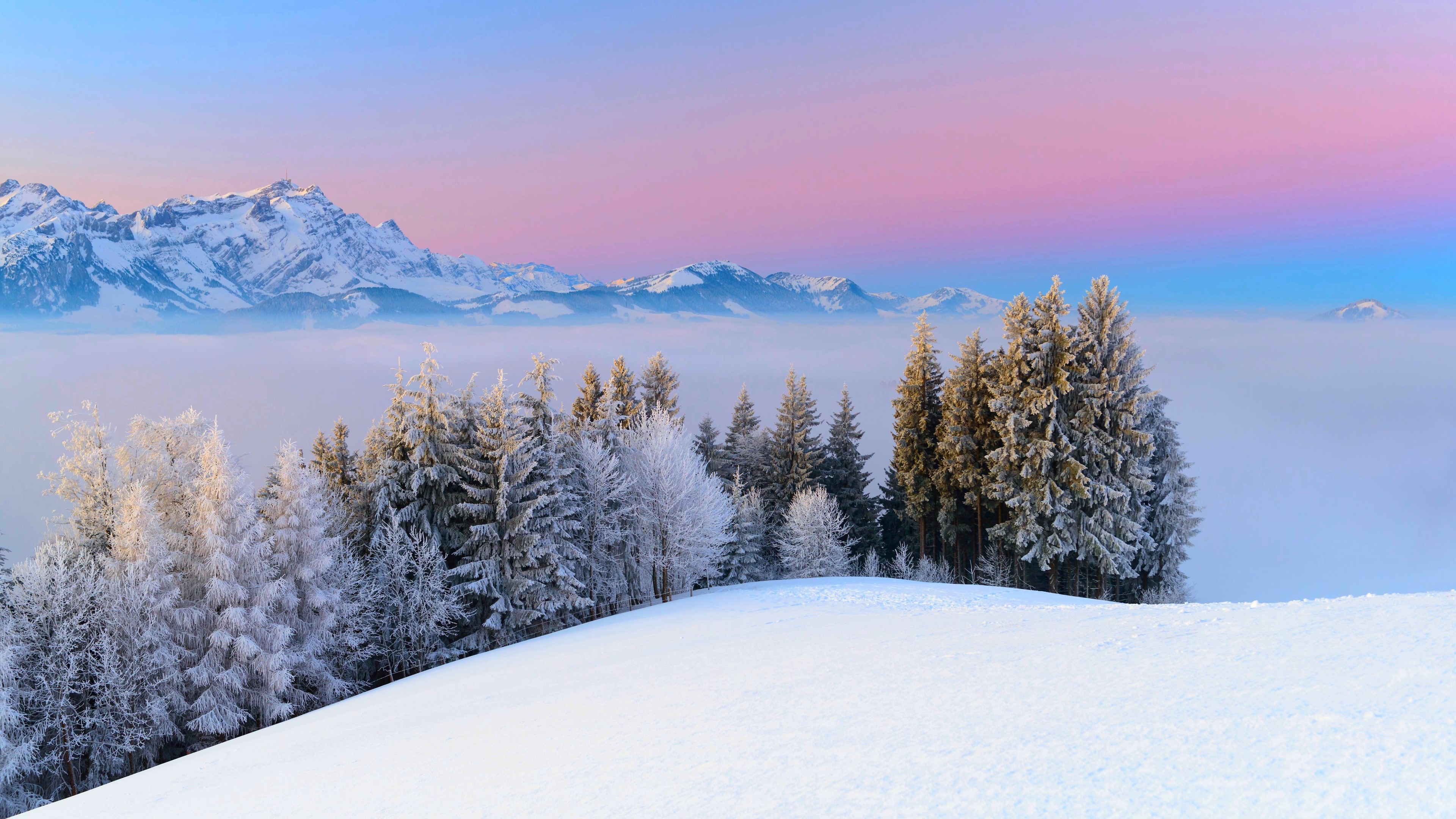 4K Winter Mountain Landscape with Fog and Snow-Covered Trees HD Wallpaper
