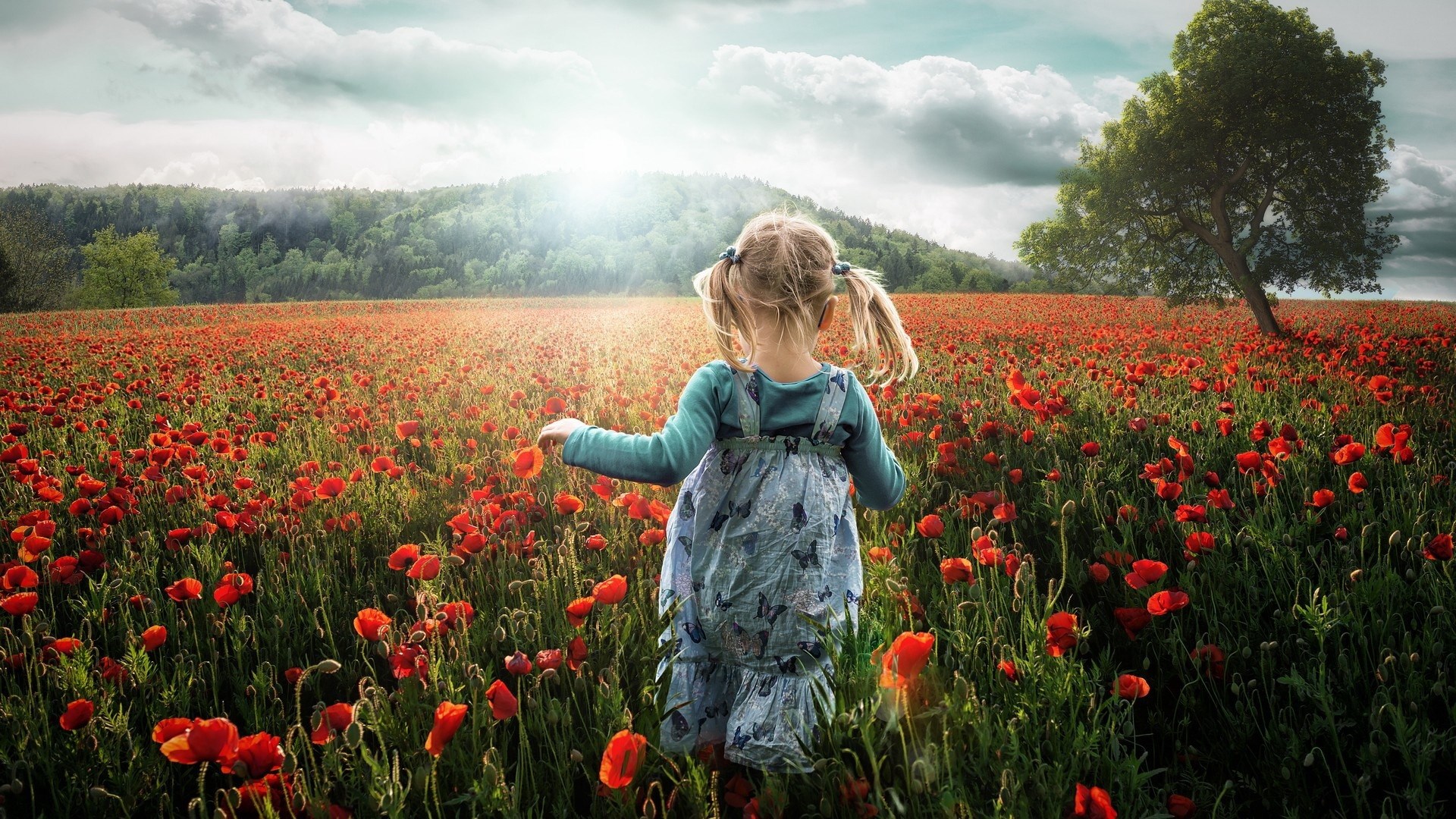 Girl in a poppy field HD Wallpaper