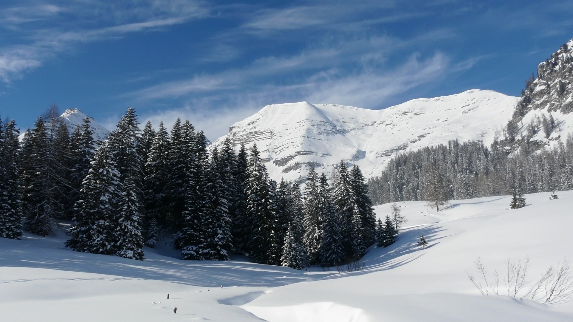 Snowy mountains and pine trees under a blue sky HD Wallpaper