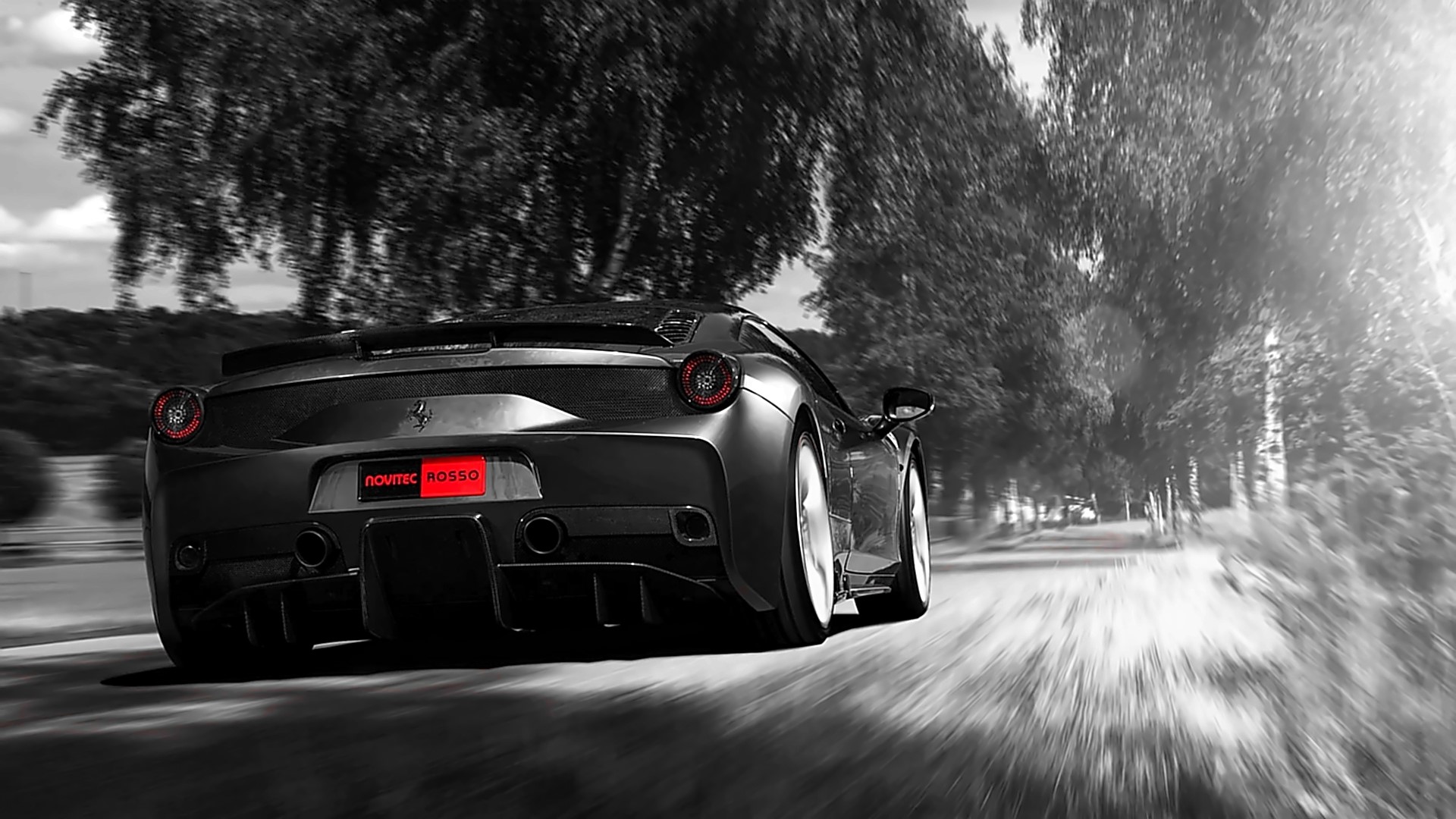 Black Ferrari driving on a tree-lined road HD Wallpaper