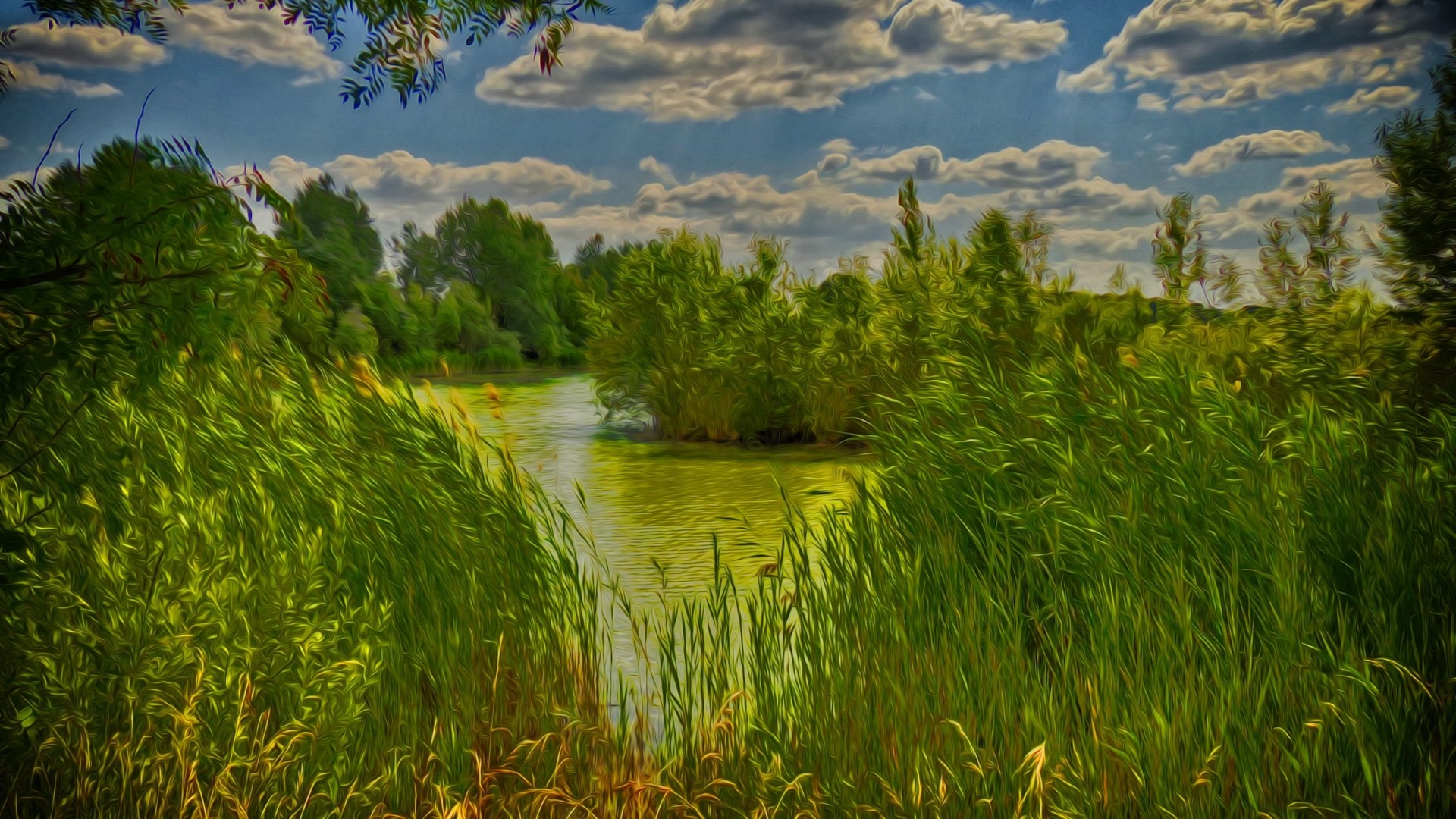 Nature scene with river and reeds HD Wallpaper