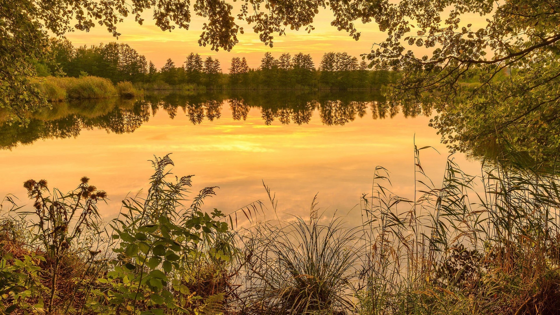 Lake reflection at sunset with trees and foliage HD Wallpaper