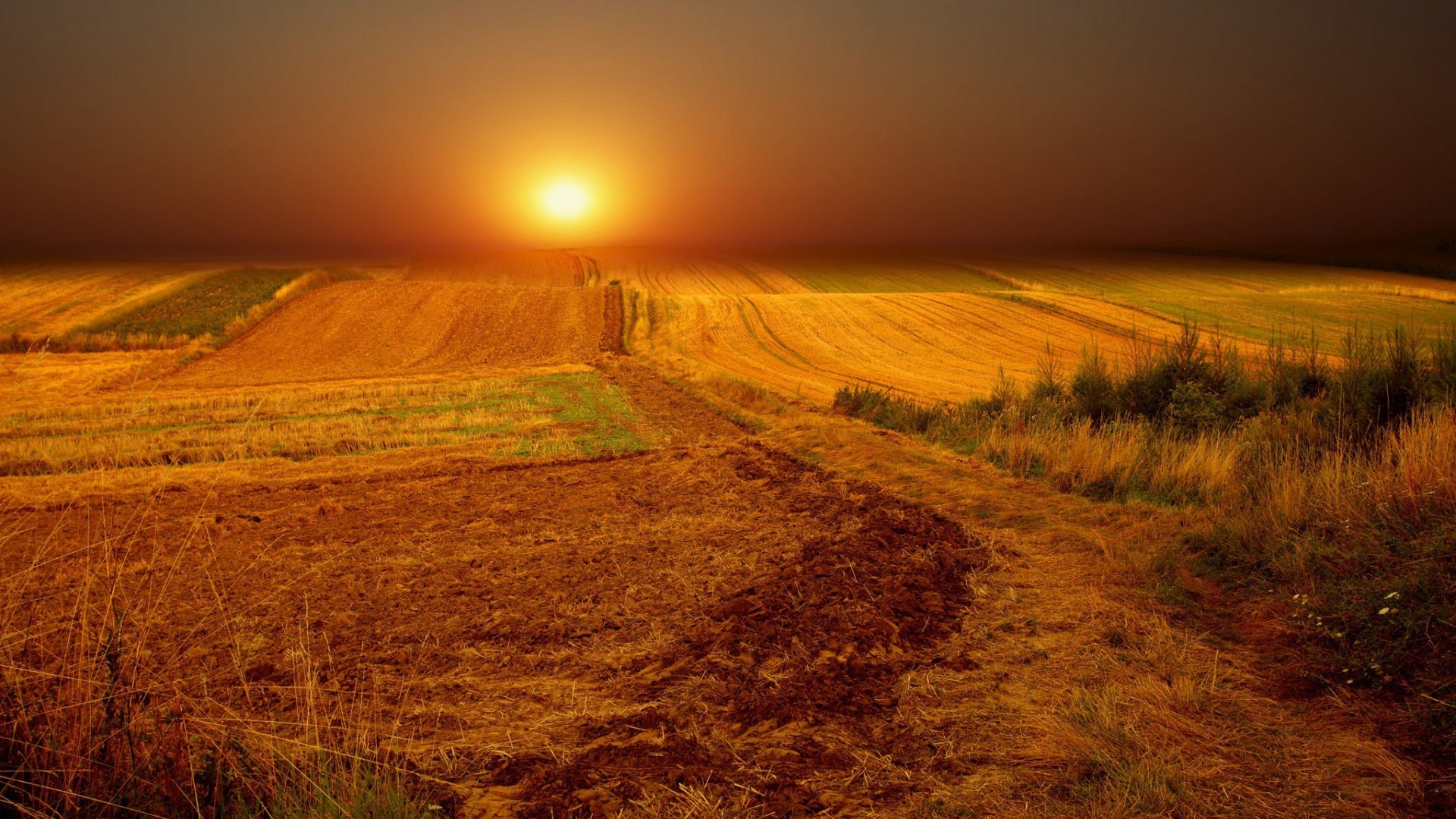 Sunset over a harvested field HD Wallpaper