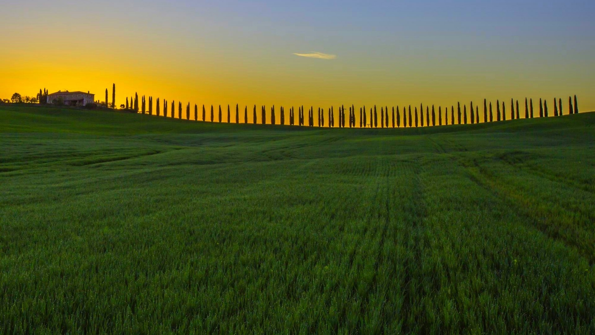 Tuscan landscape with cypress trees and a villa at sunset HD Wallpaper