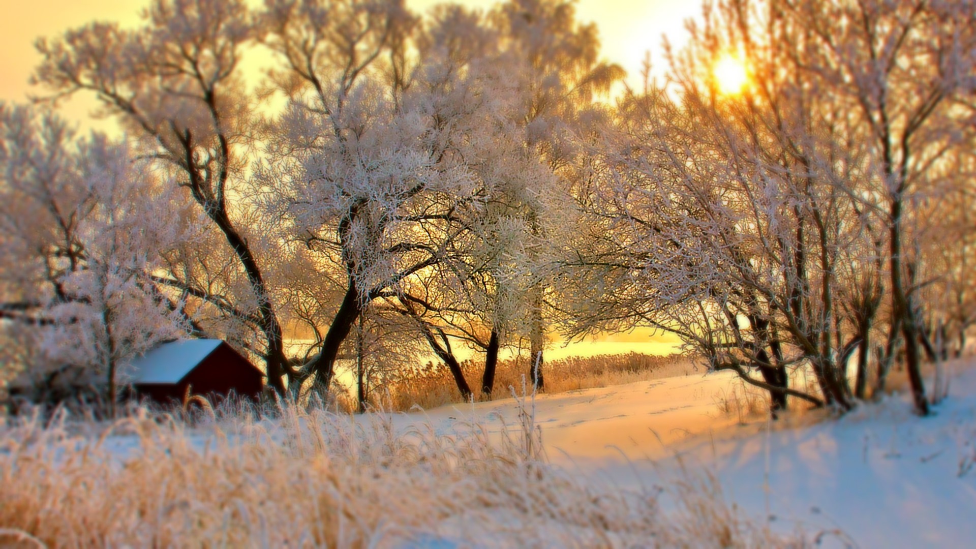 Winter landscape with frosted trees and a small red barn HD Wallpaper
