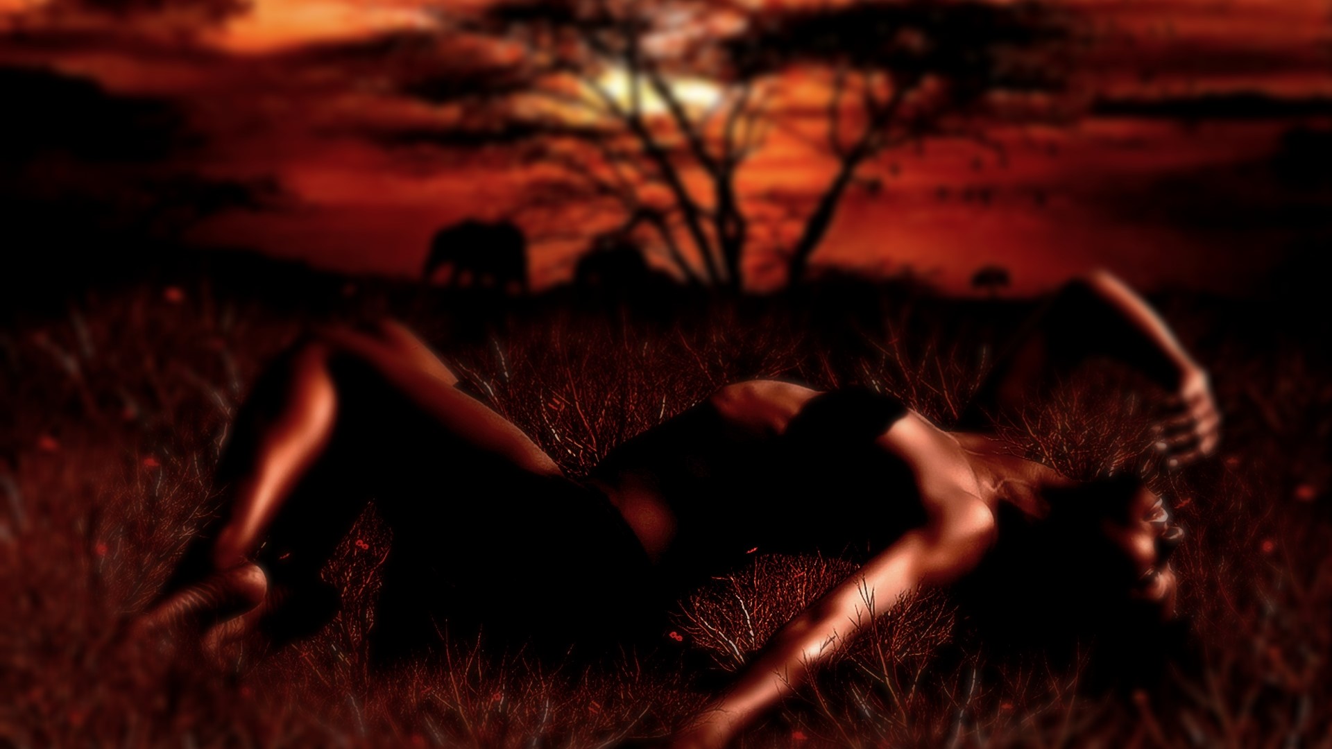 Woman lying in grass at sunset with elephants HD Wallpaper