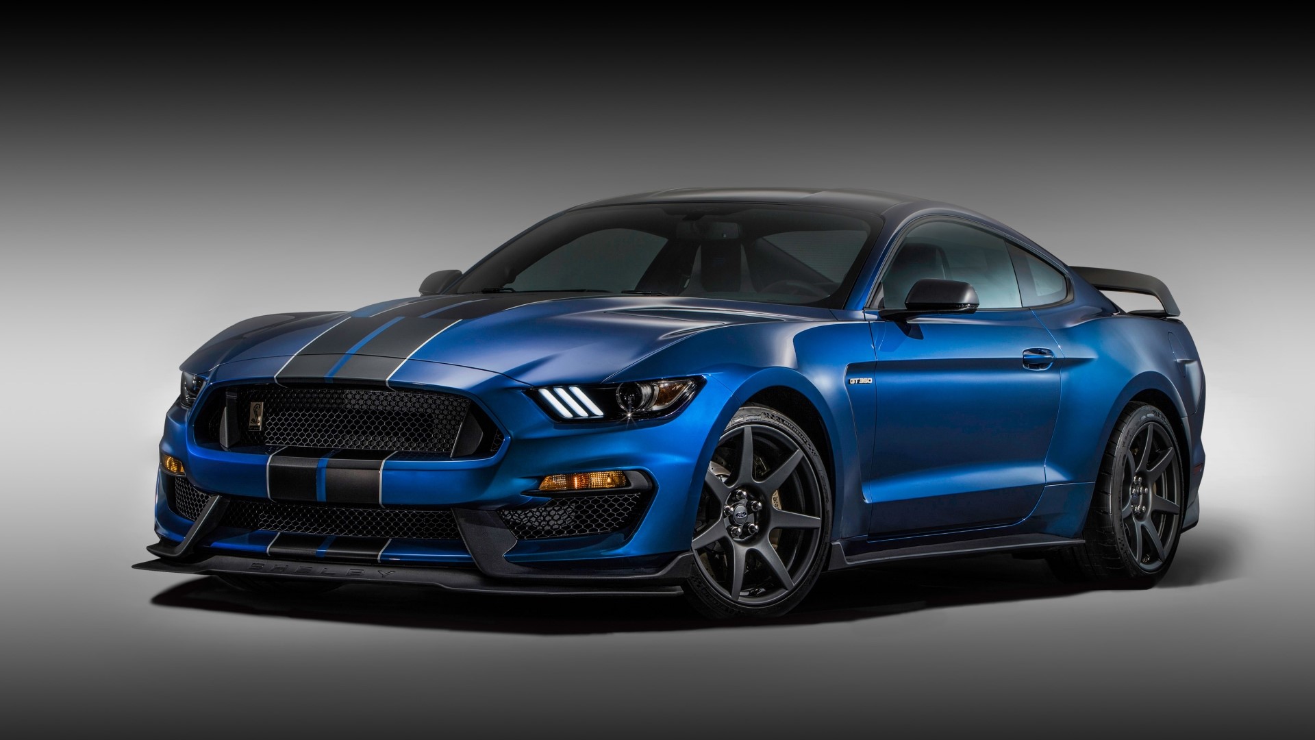 Blue Ford Mustang Shelby GT350R with black stripes HD Wallpaper