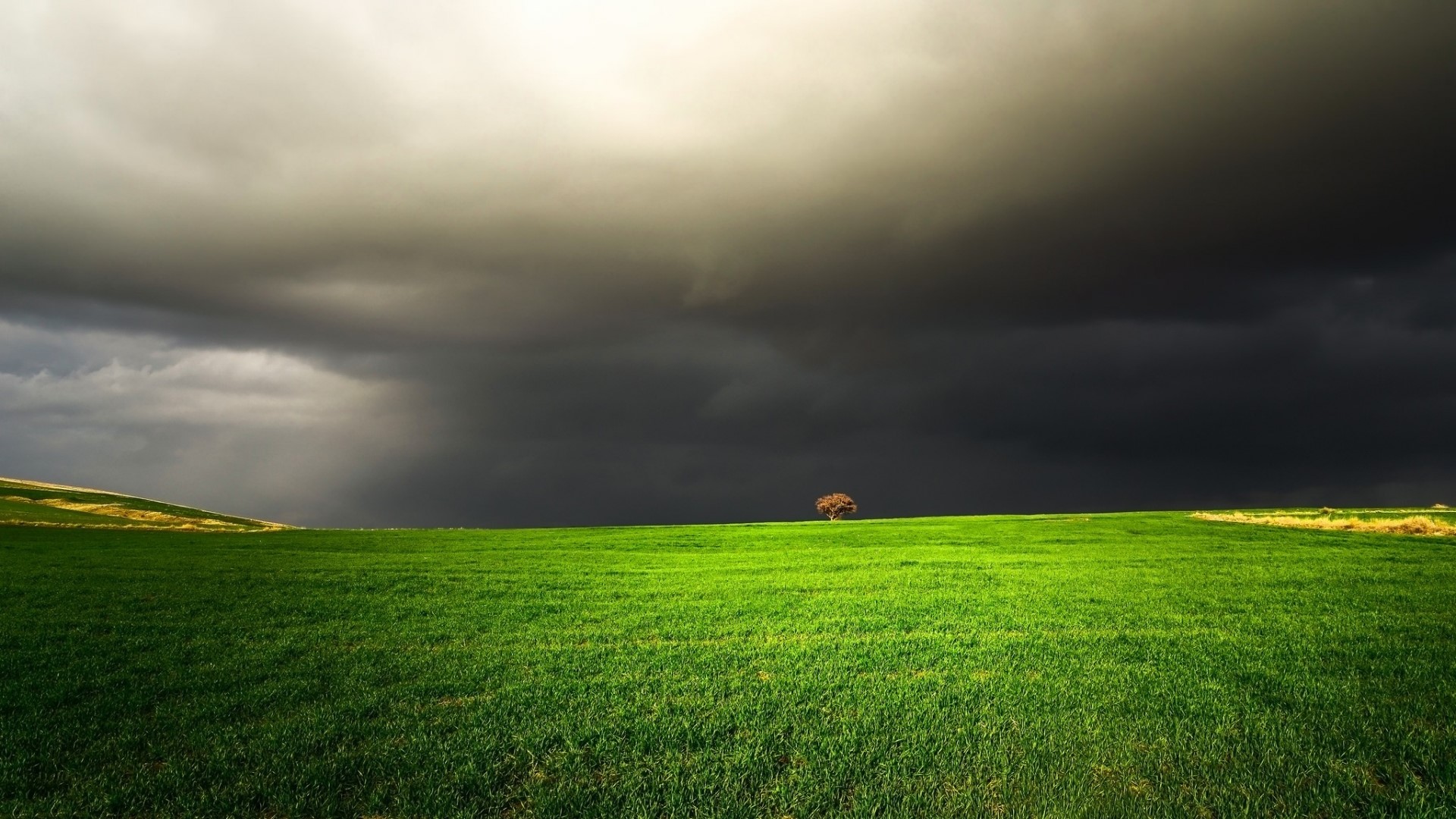 Storm clouds over a green field with a lone tree HD Wallpaper