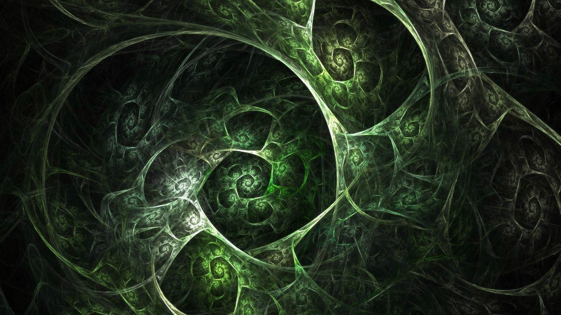 Green fractal spirals and organic structures HD Wallpaper