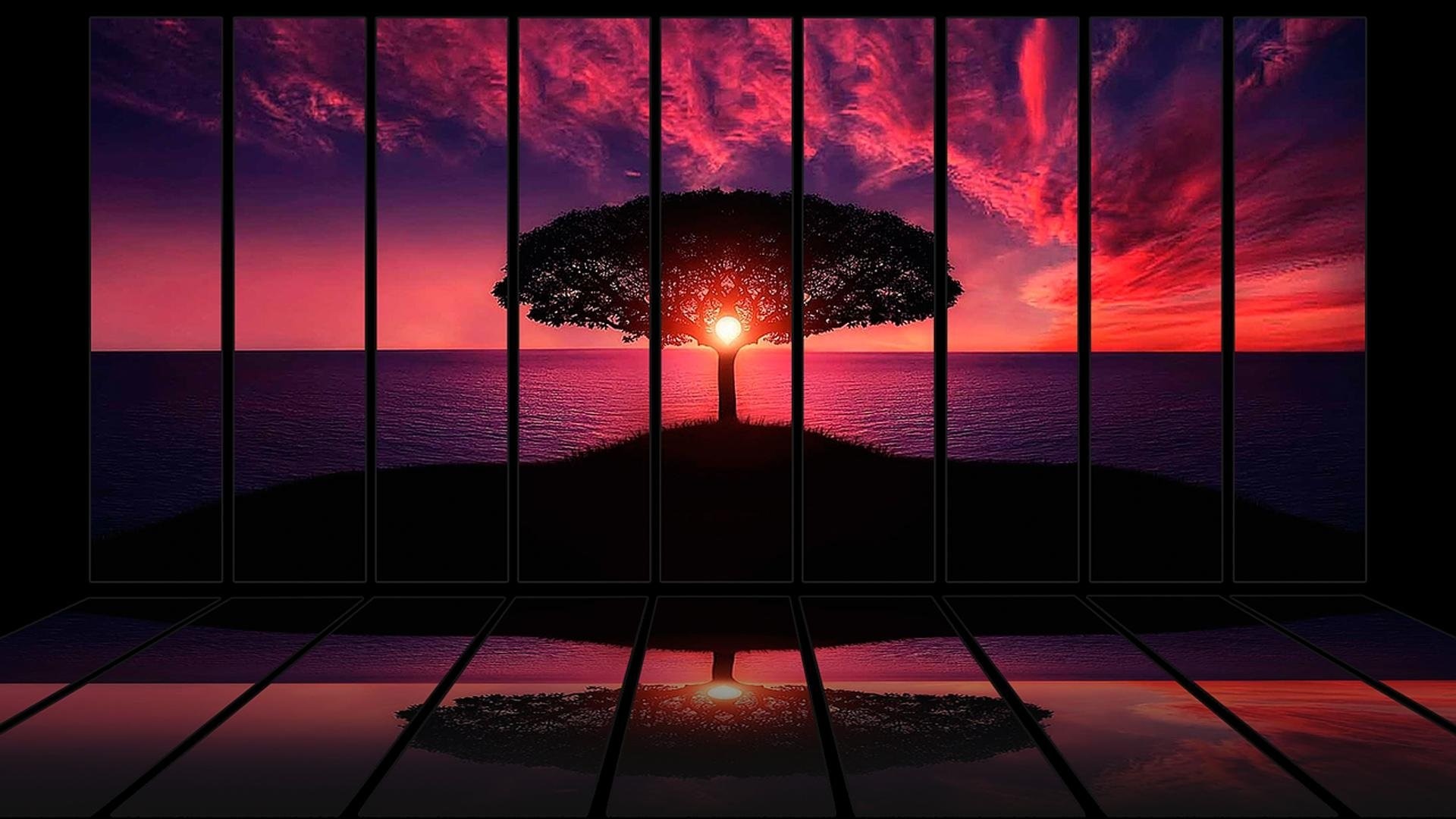 Silhouette of a tree against a vibrant sunset over the ocean HD Wallpaper