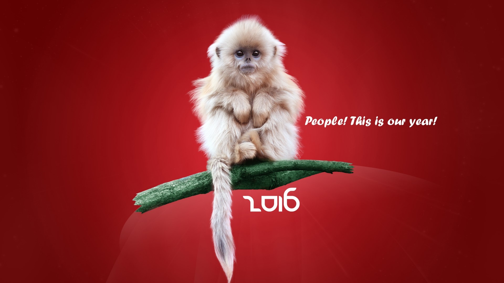 Golden Snub-nosed Monkey on a Branch with 2016 Text HD Wallpaper