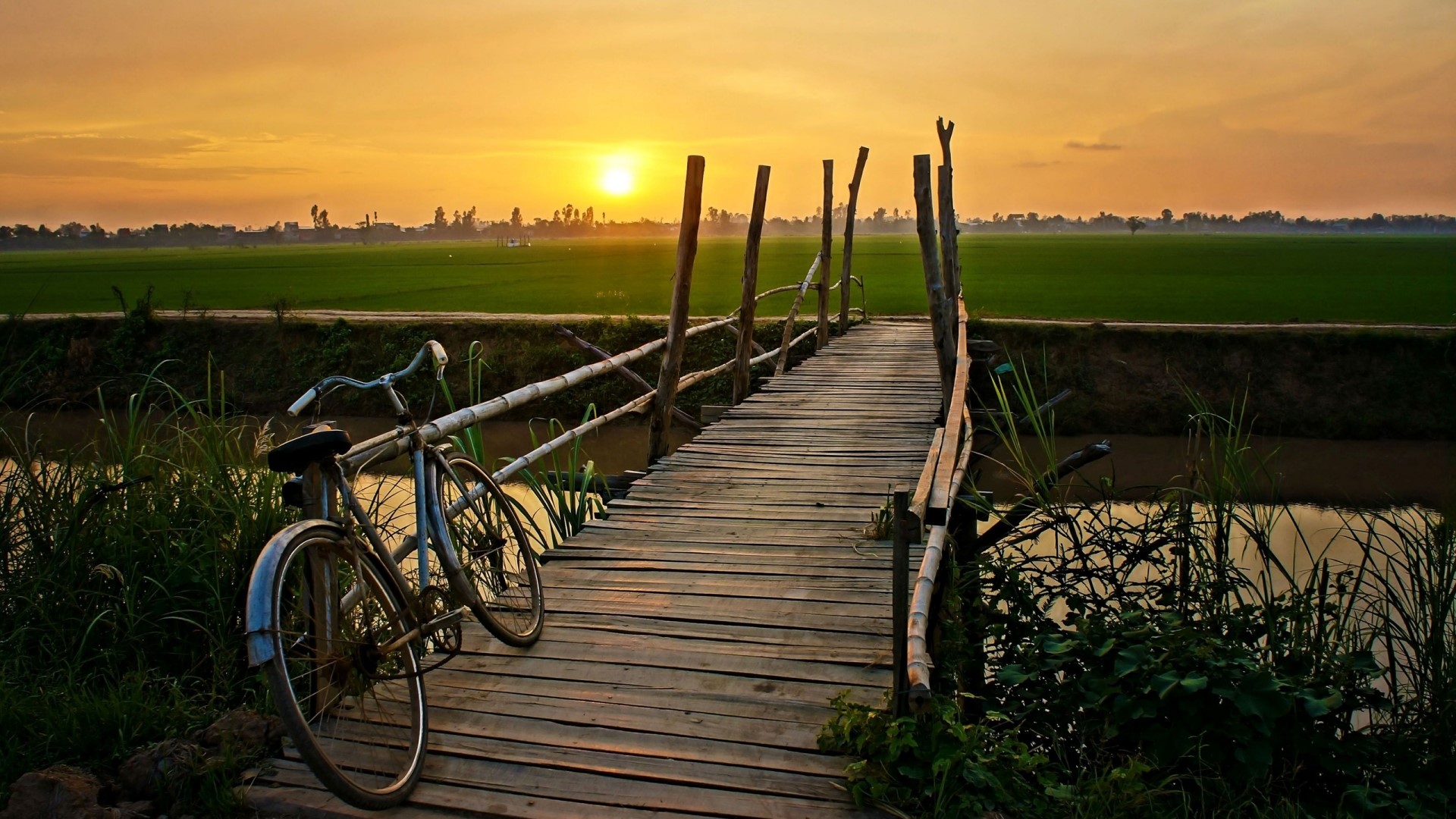 Bicycle on a wooden bridge at sunset HD Wallpaper