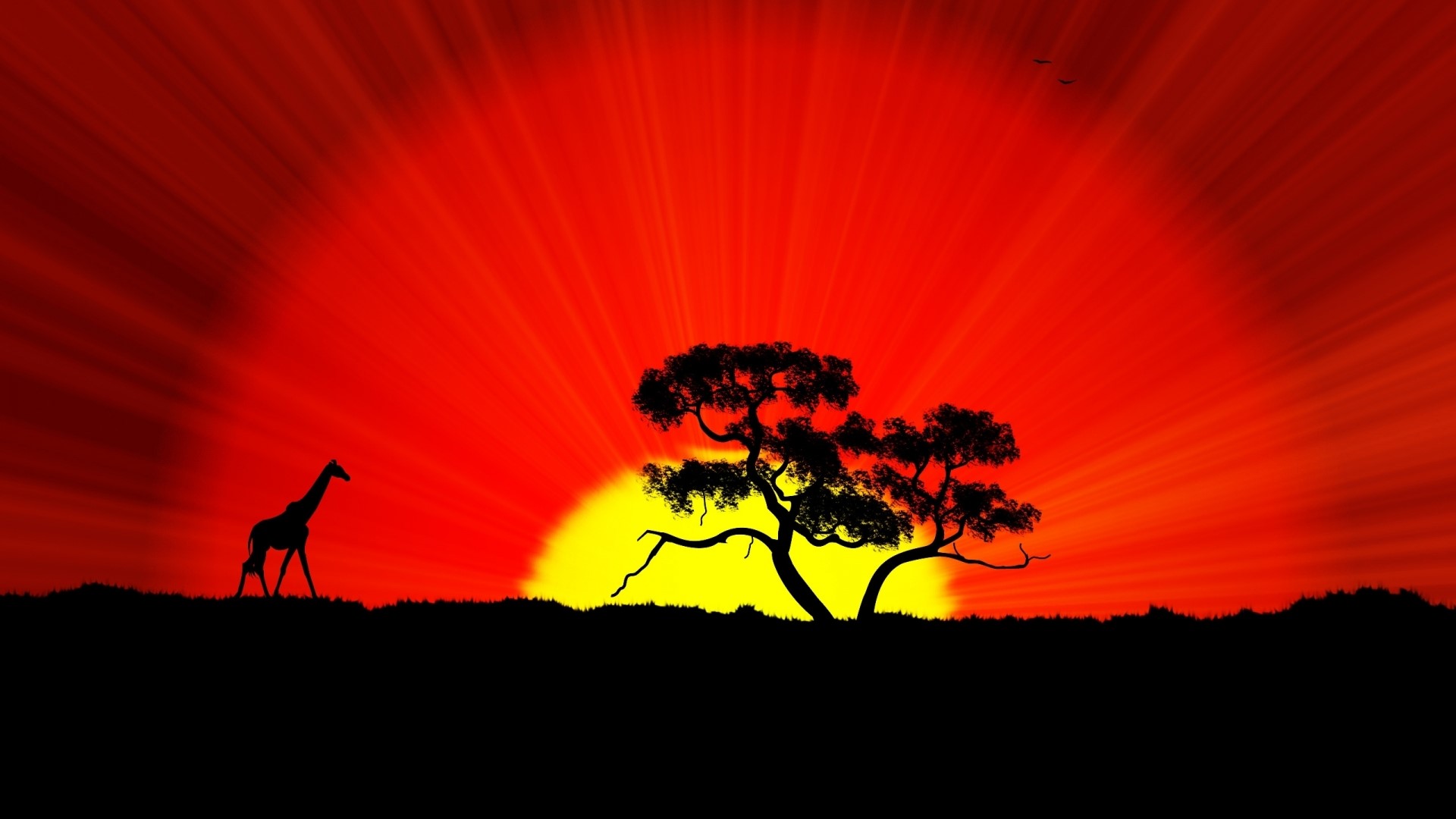 Silhouette of a Giraffe and Tree at Sunset in Africa HD Wallpaper