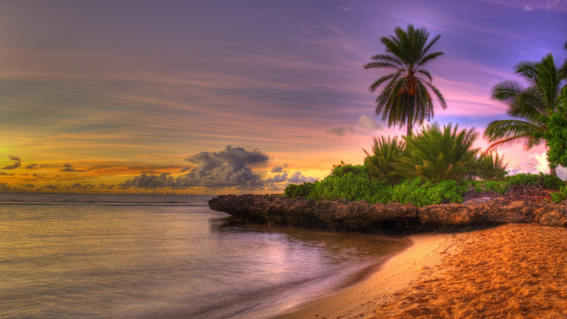 Tropical beach at sunset with palm trees HD Wallpaper
