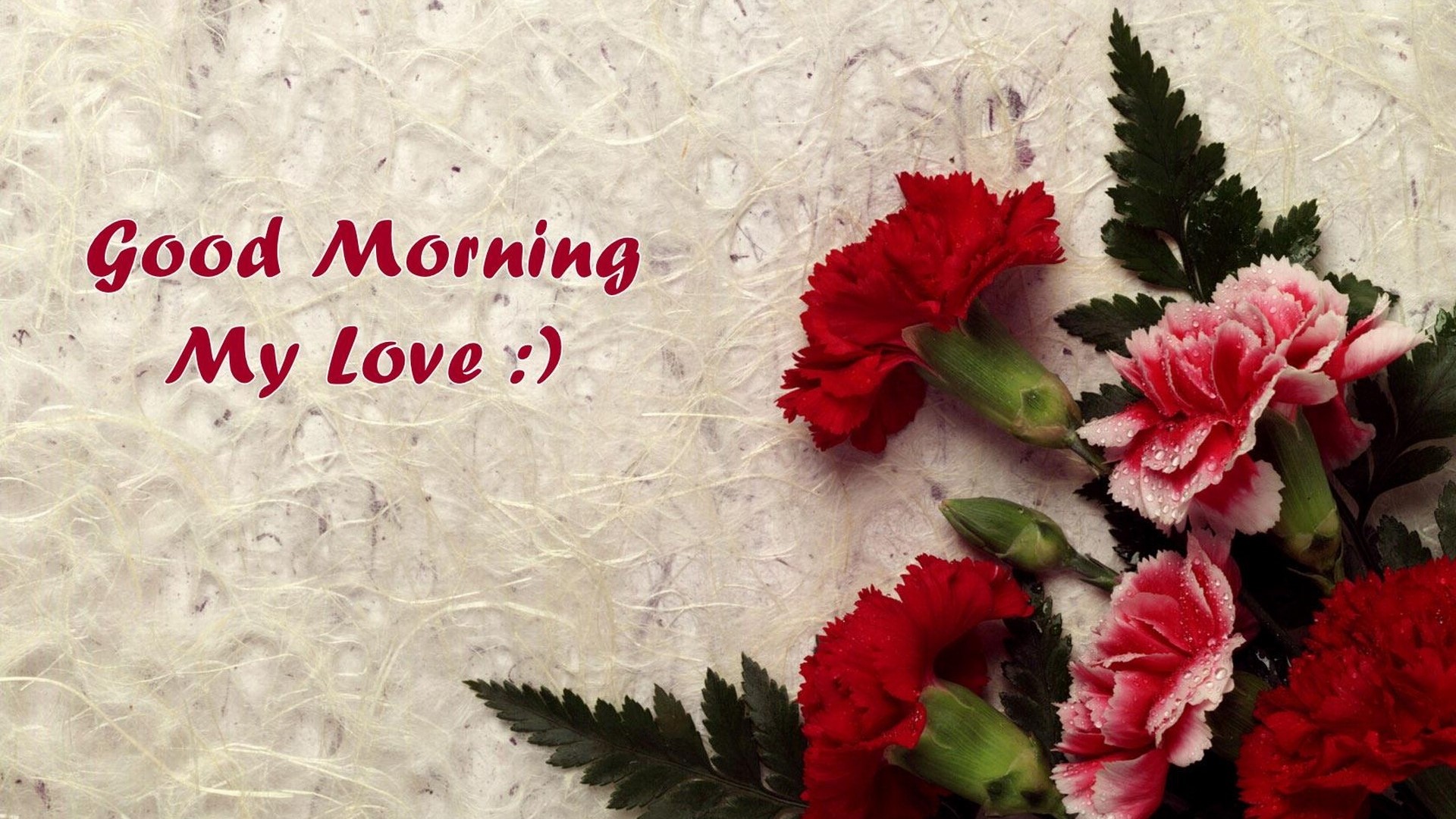 Good Morning My Love Quote with Flowers HD Wallpaper