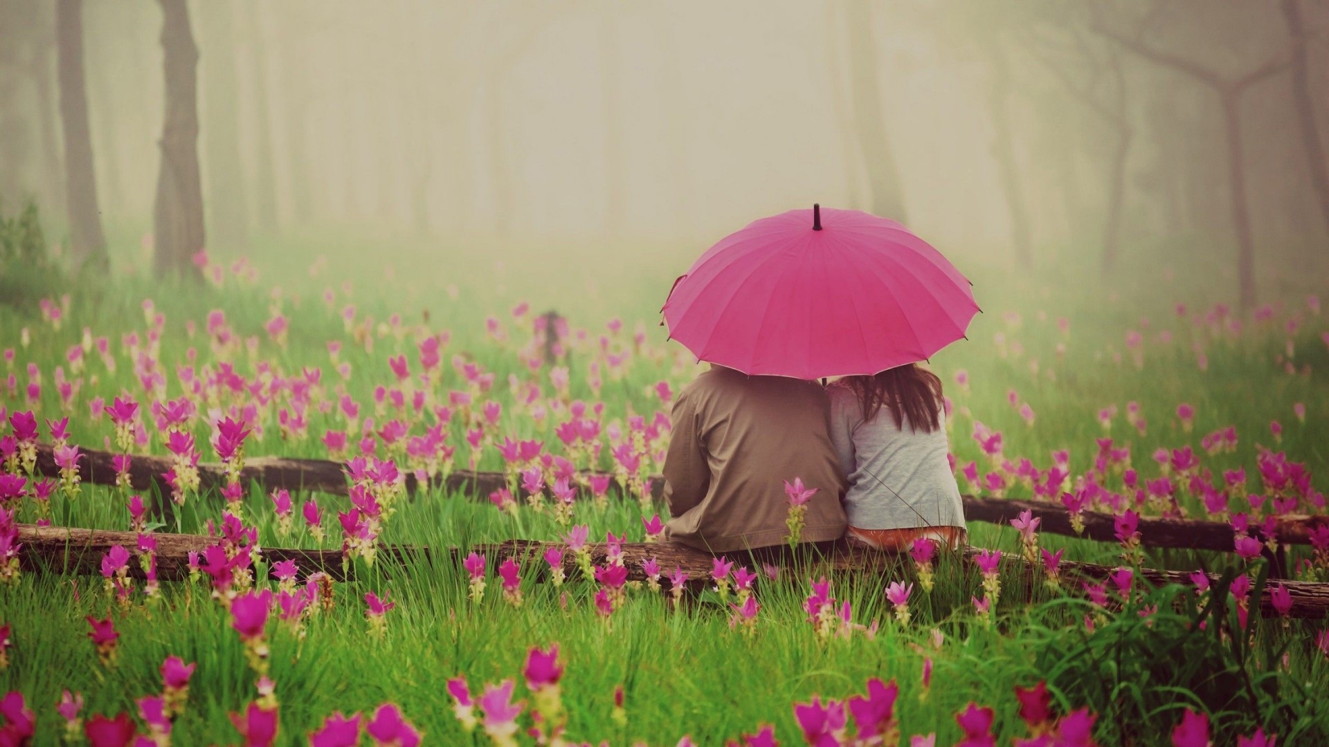 Couple under umbrella in flower field HD Wallpaper