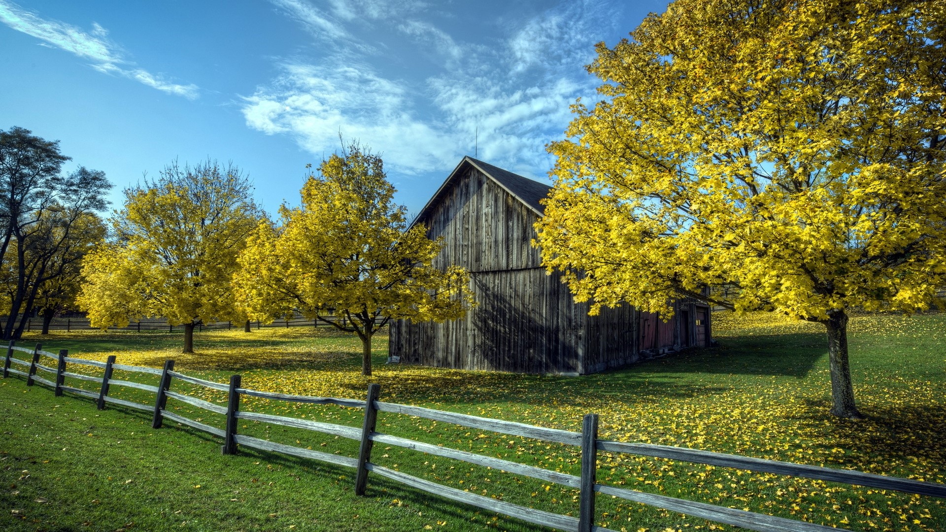 Barn with yellow trees and fence HD Wallpaper