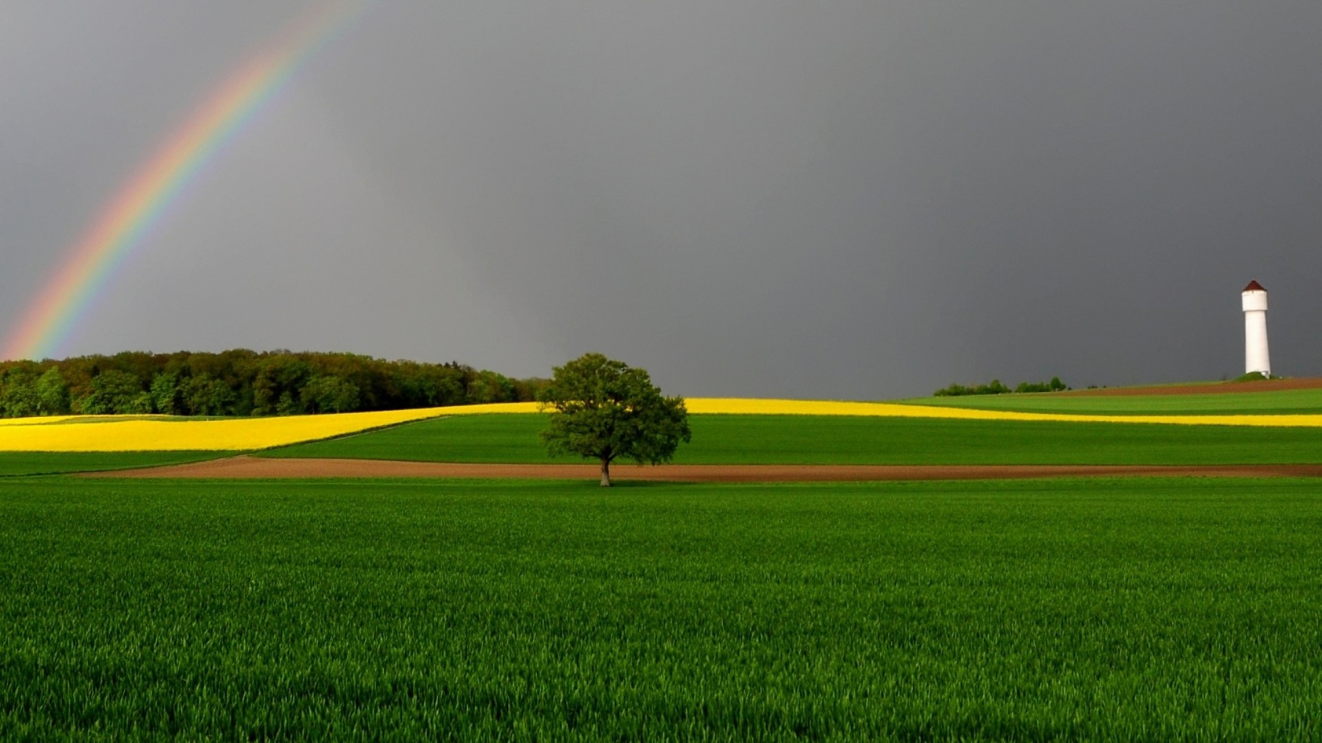Rainbow over stormy fields with lone tree and water tower HD Wallpaper