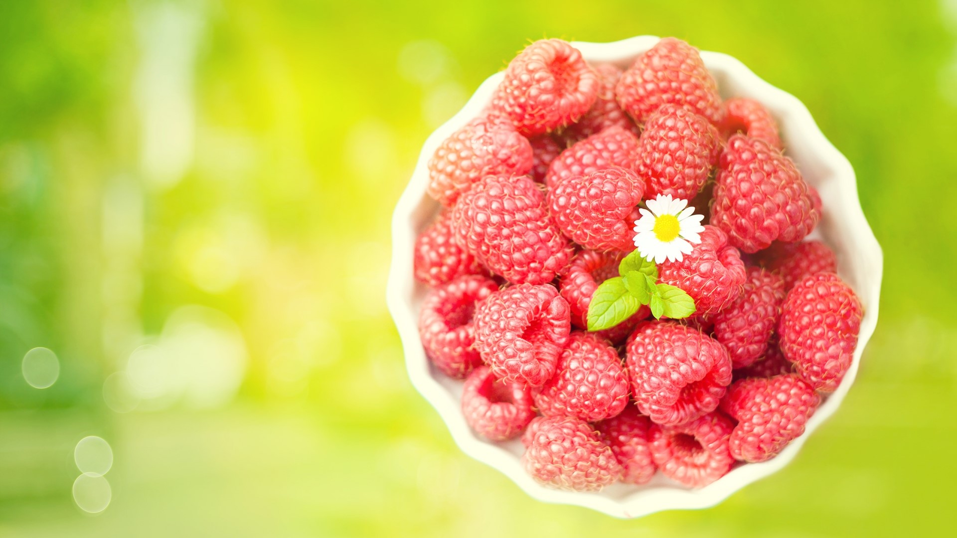 Bowl of Raspberries with Daisy and Mint HD Wallpaper