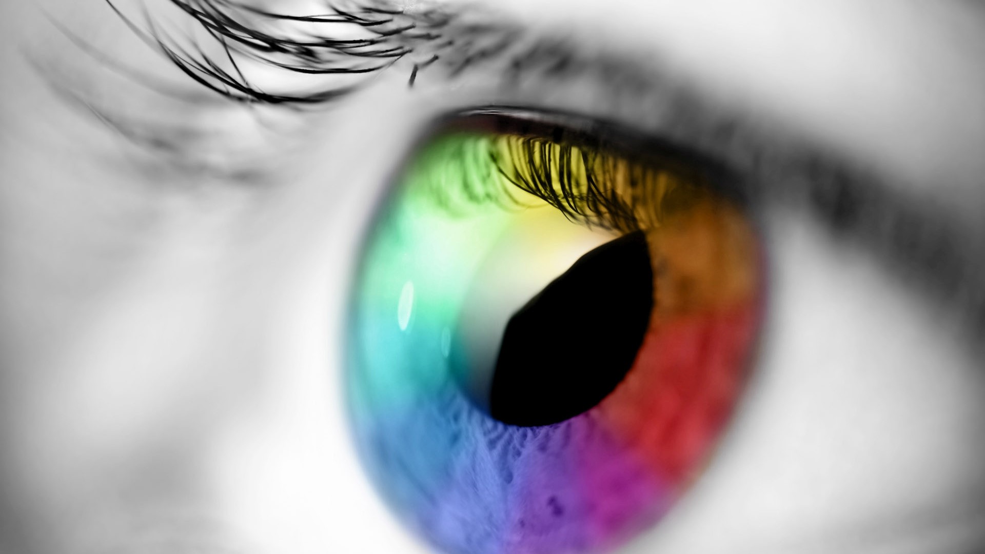 Close-up of a rainbow-colored eye HD Wallpaper