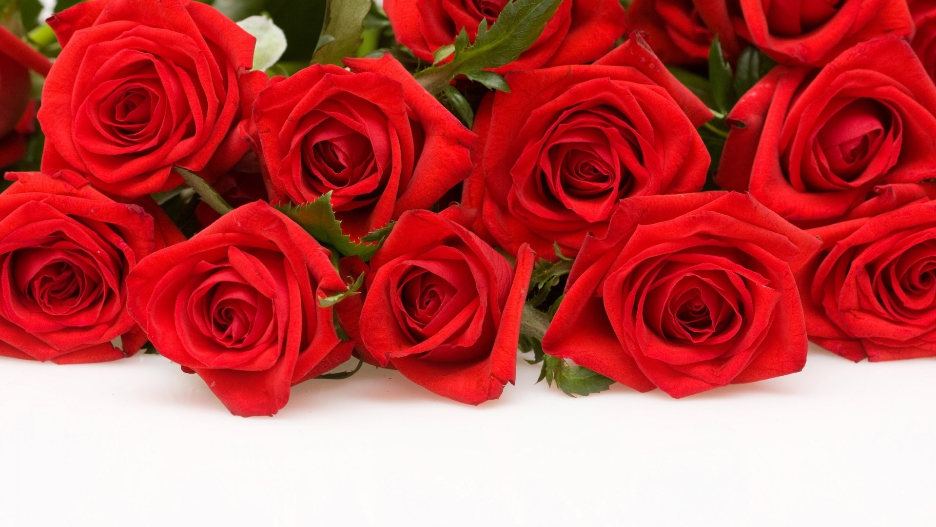 A bouquet of red roses HD Wallpaper