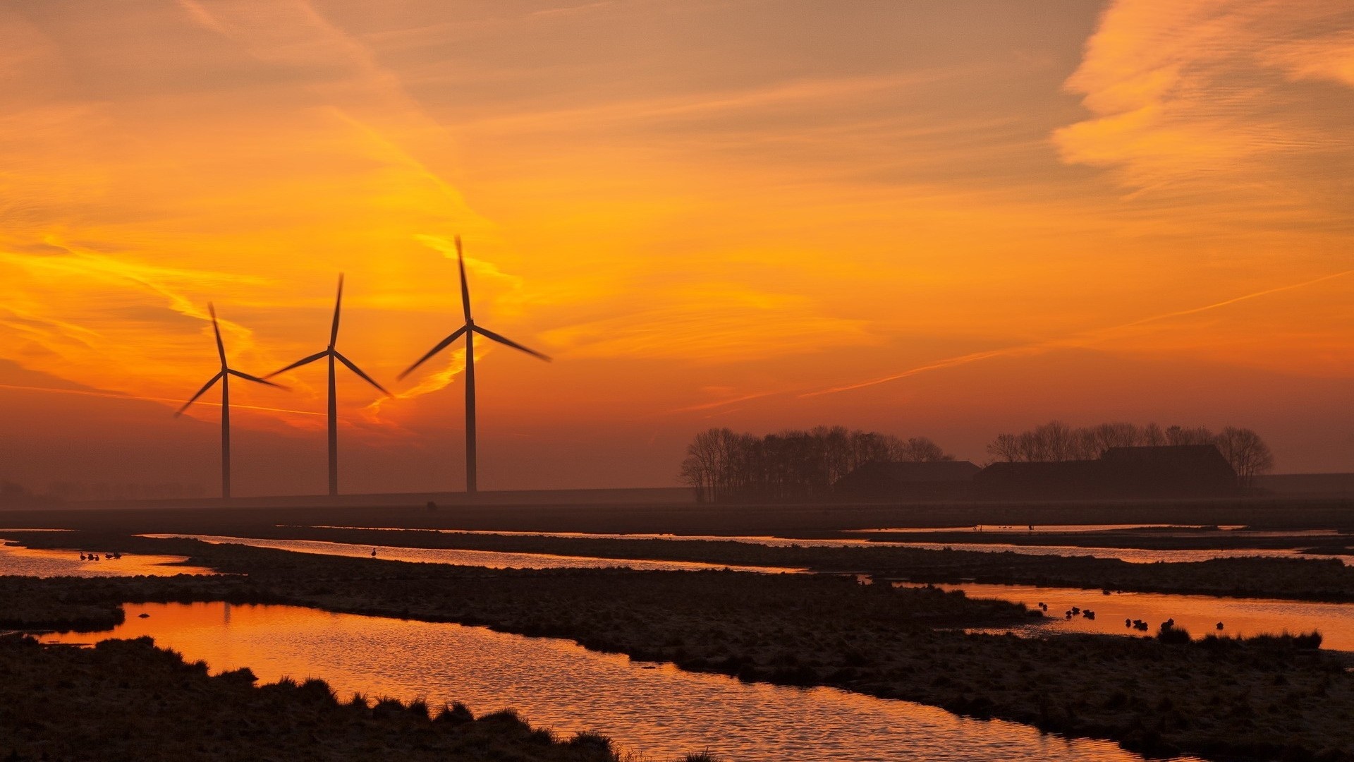 Wind turbines at sunset over water and farmland HD Wallpaper