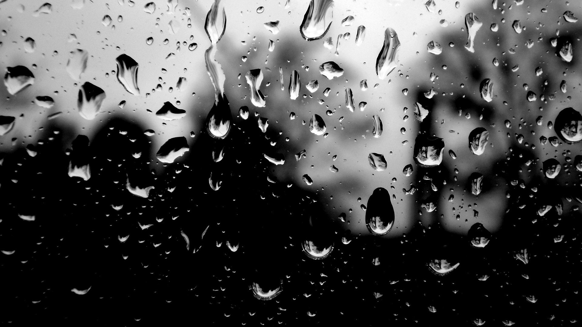 Raindrops on a window in monochrome HD Wallpaper