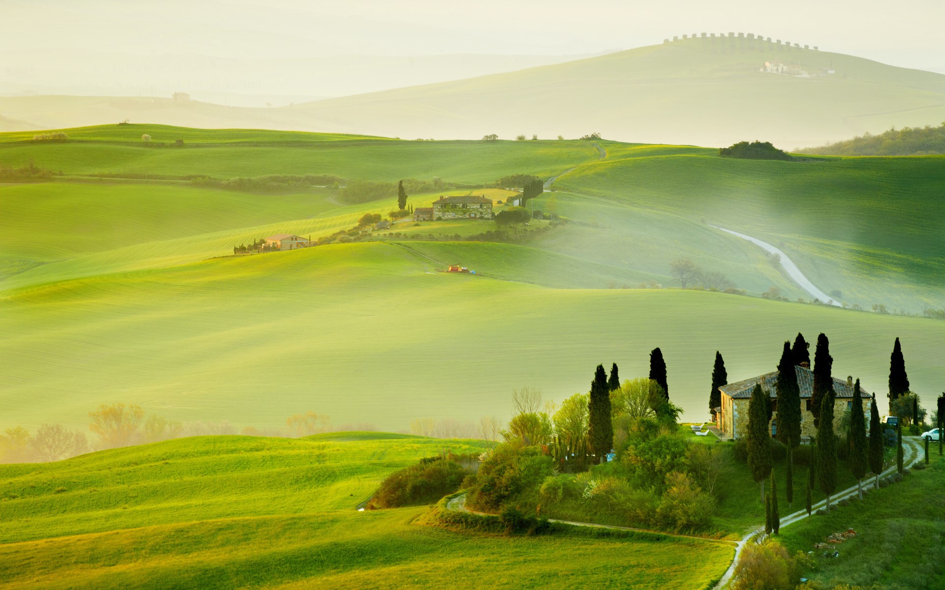 Tuscan landscape with rolling green hills and cypress trees HD Wallpaper