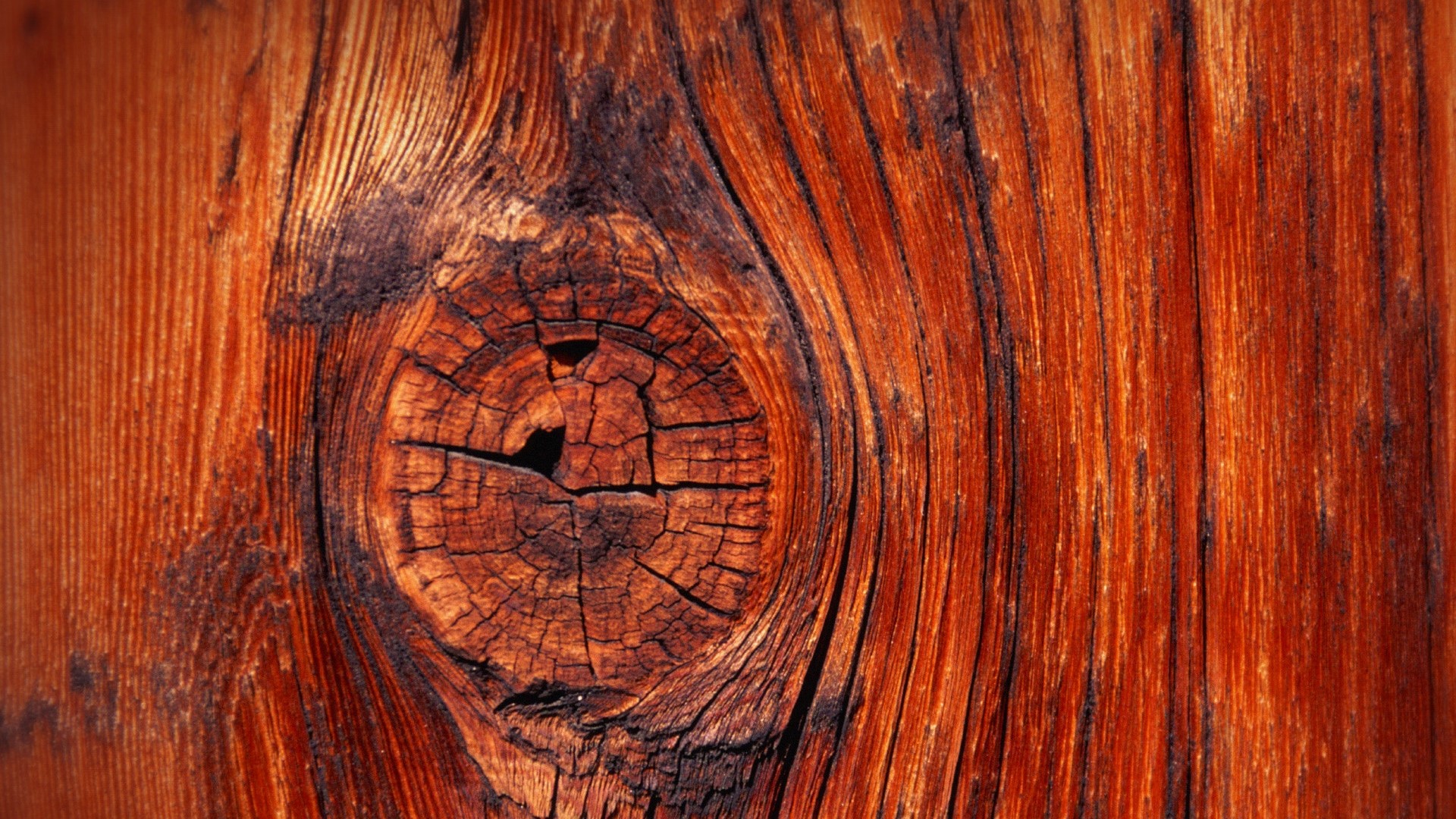 Close-up of a wood knot with grain HD Wallpaper