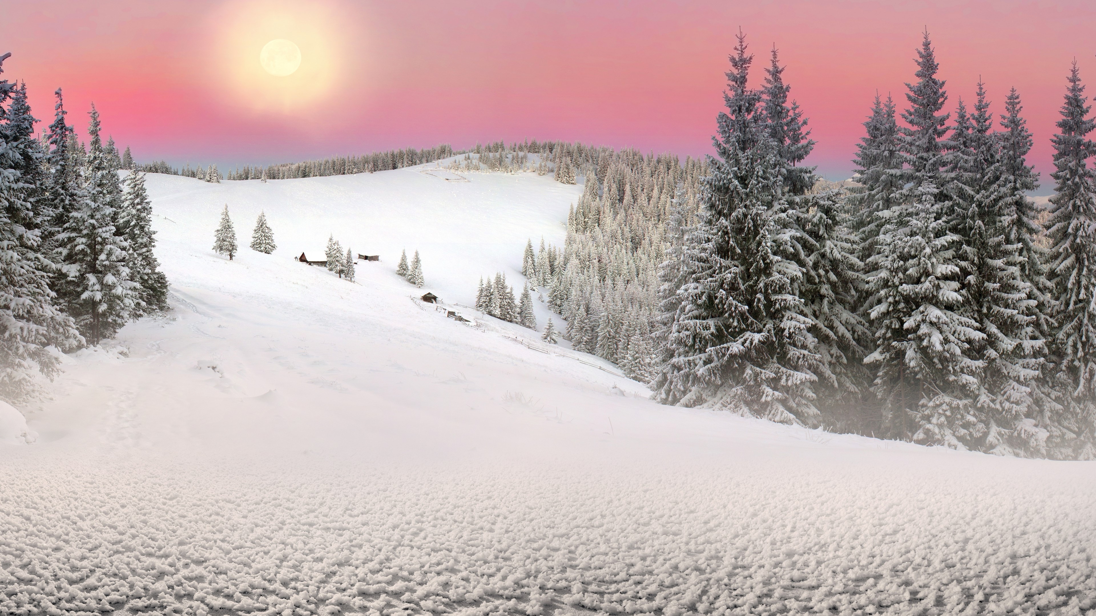 4K Winter Landscape with Snow-Covered Trees and Moon HD Wallpaper