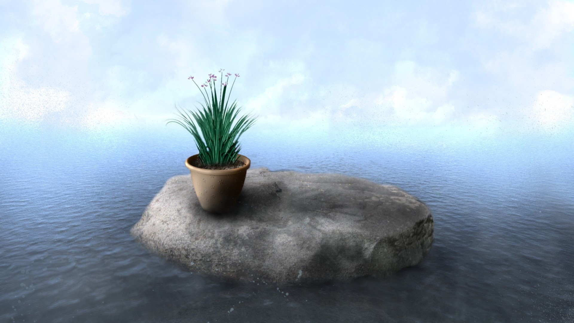 Potted plant on a rock in the ocean HD Wallpaper