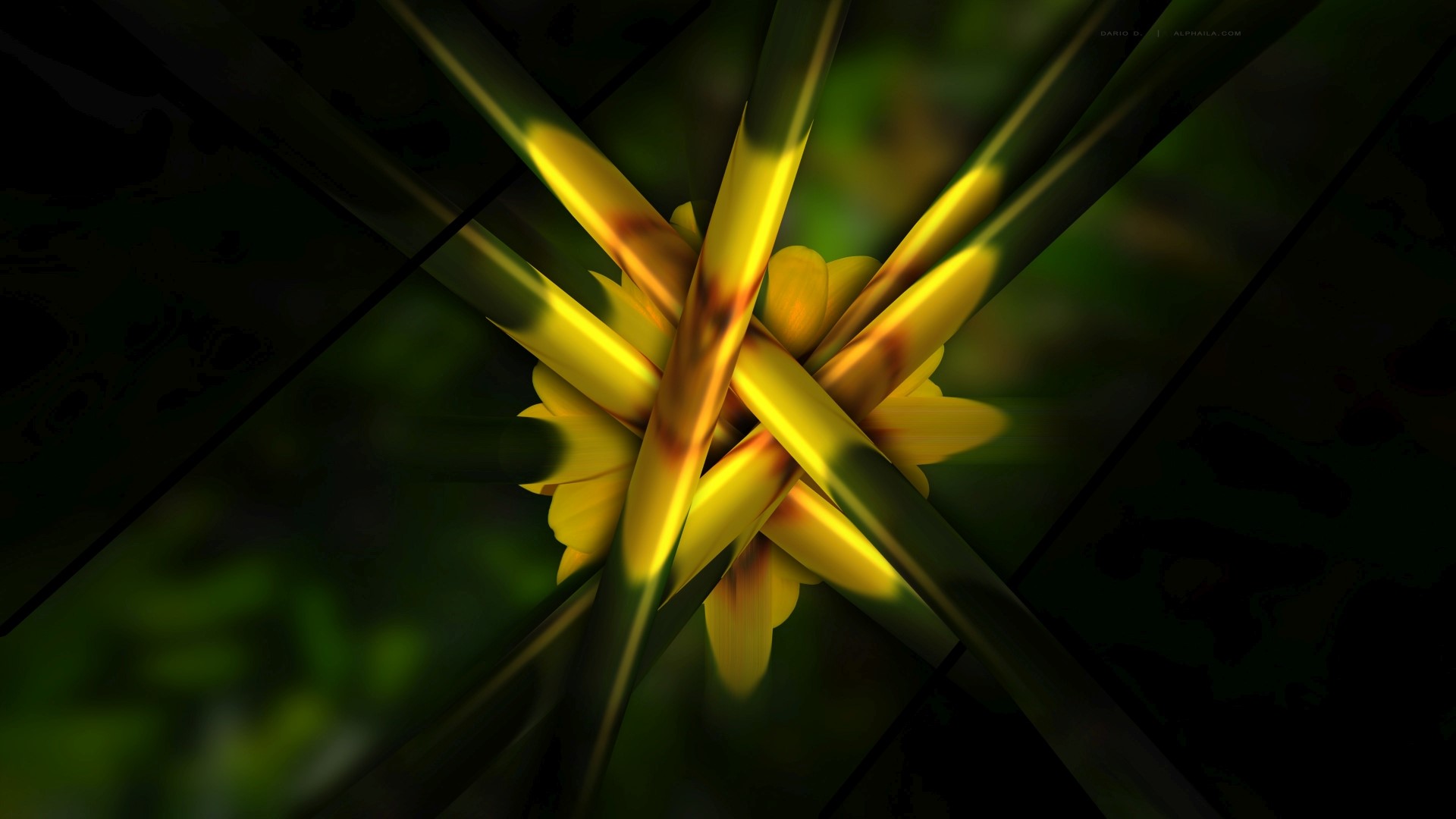 Abstract Yellow Flower with Green Background HD Wallpaper