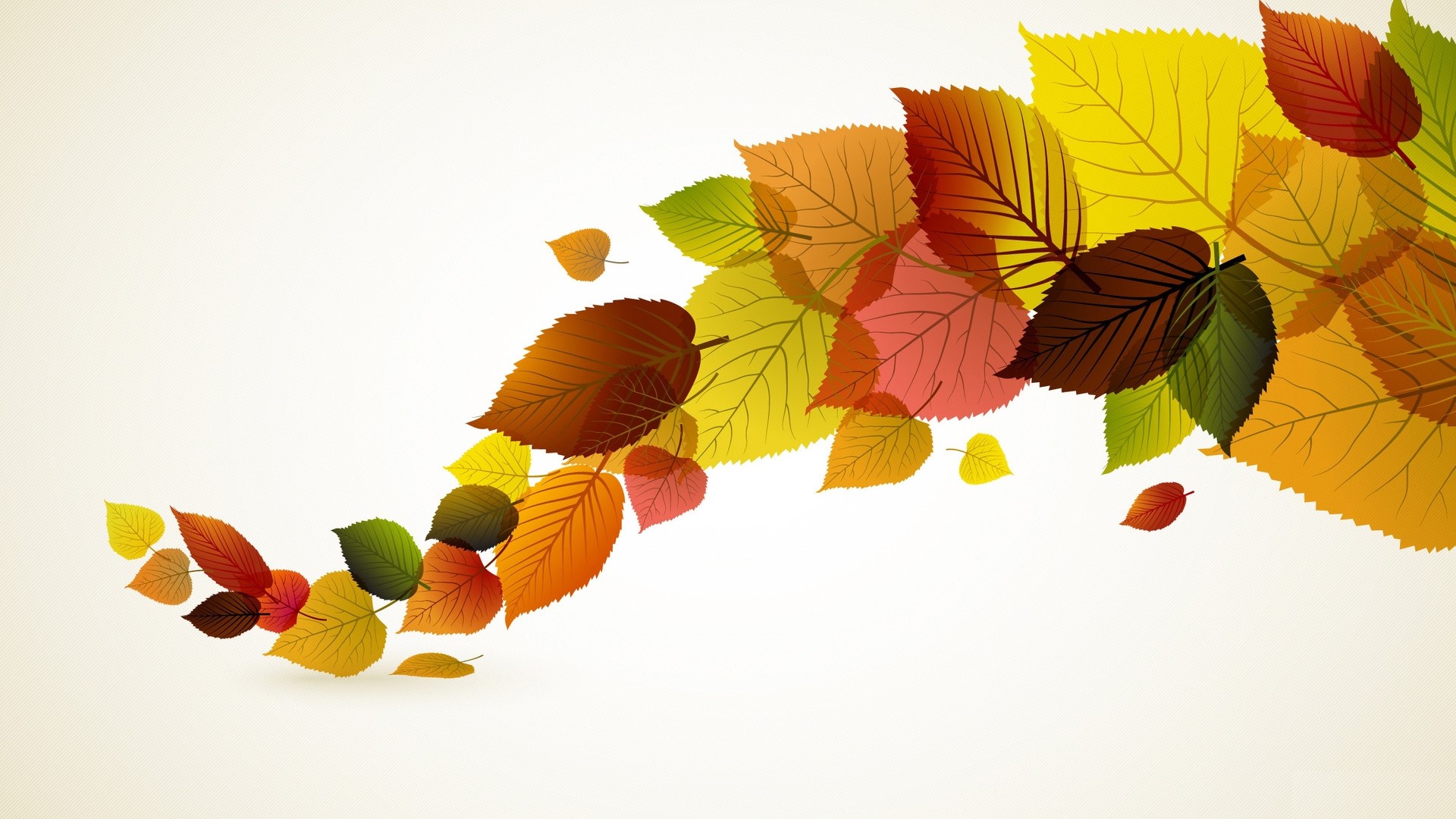 Autumn leaves swirling on a light background HD Wallpaper