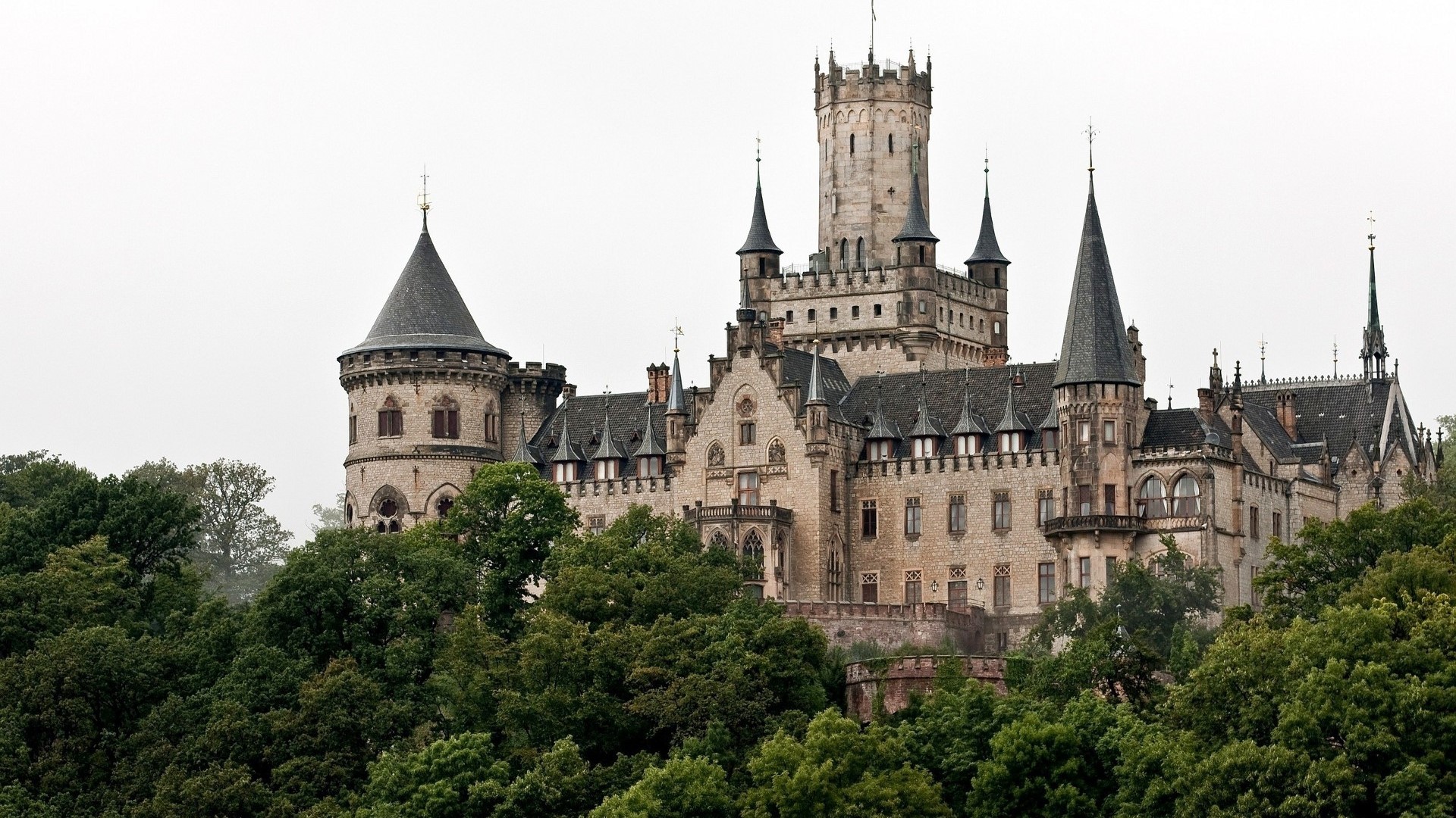 Marienburg Castle on a hill with trees HD Wallpaper