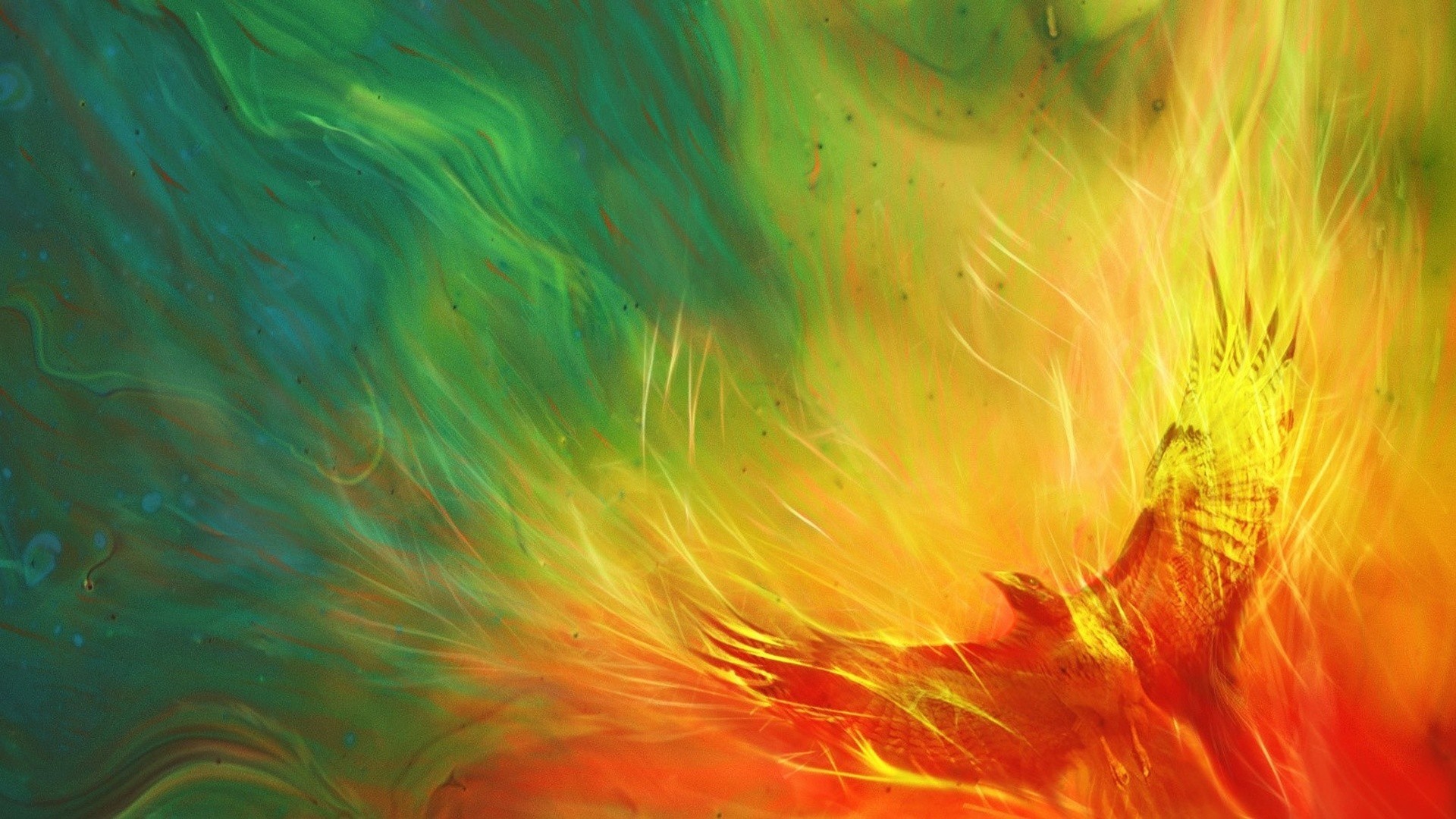 Phoenix Rising Painting HD Wallpaper