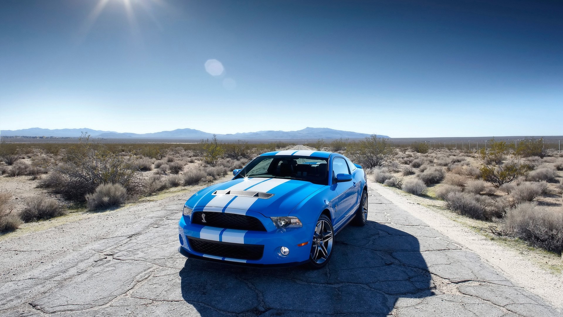 Blue Ford Mustang Shelby GT500 in desert landscape HD Wallpaper