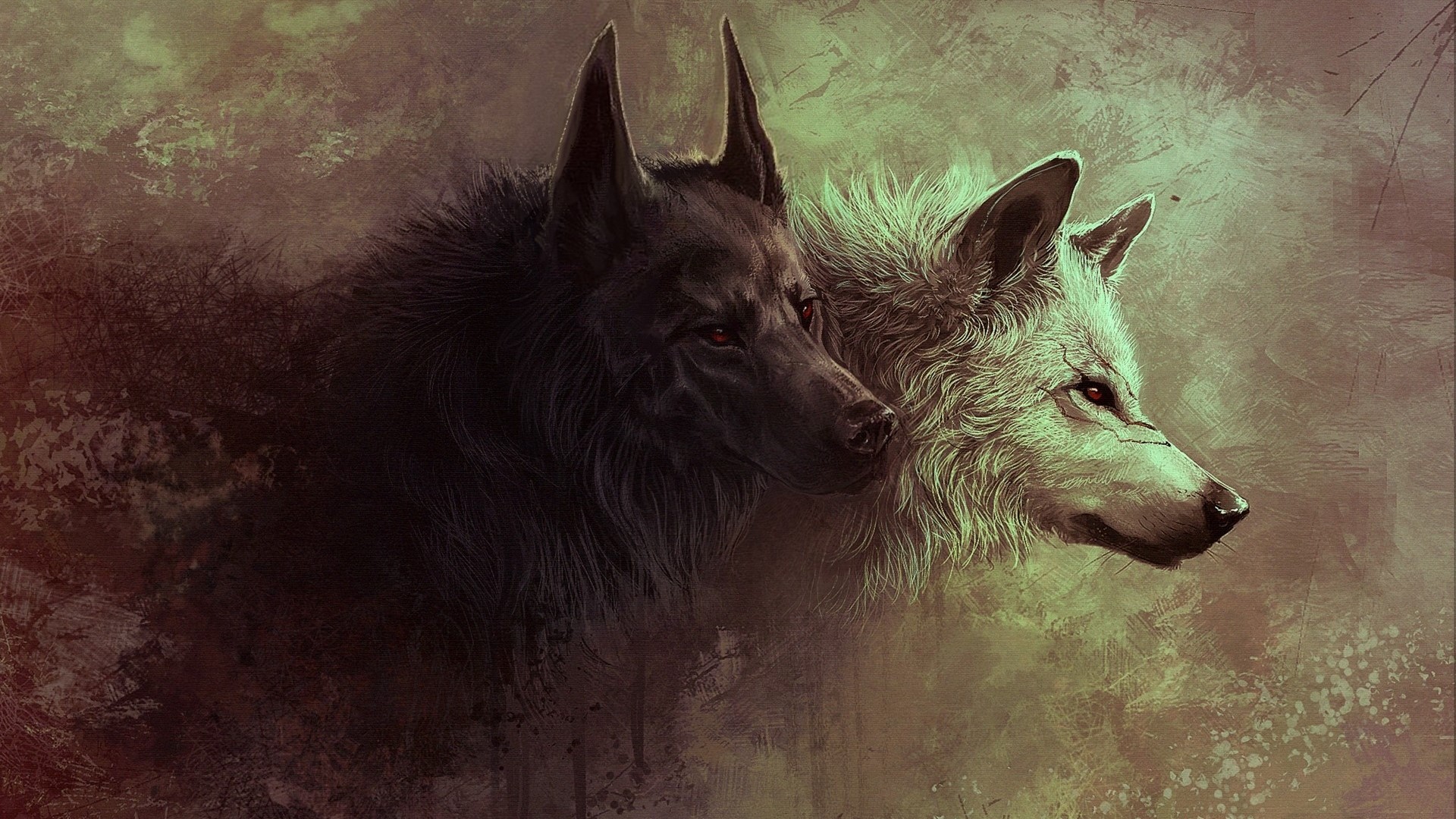 Two wolves, one black and one white, art HD Wallpaper