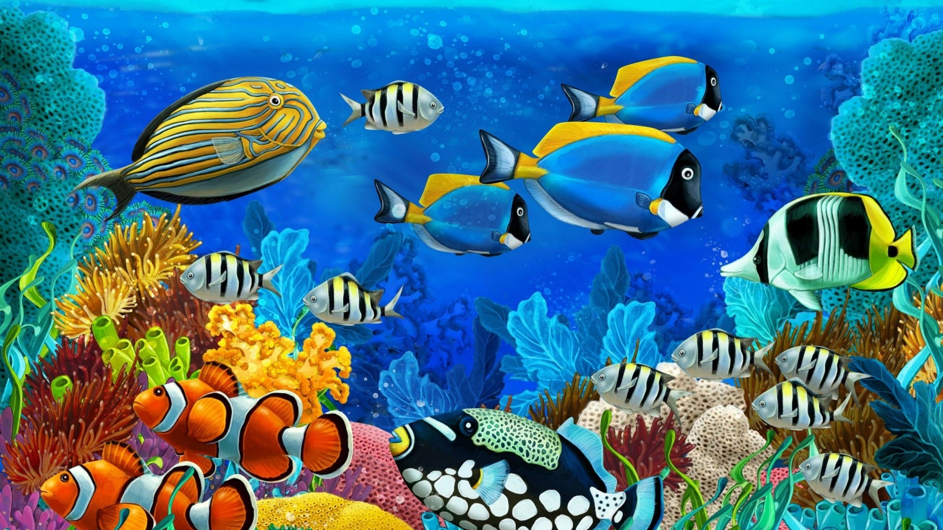 Reef fish swimming among coral and anemones HD Wallpaper
