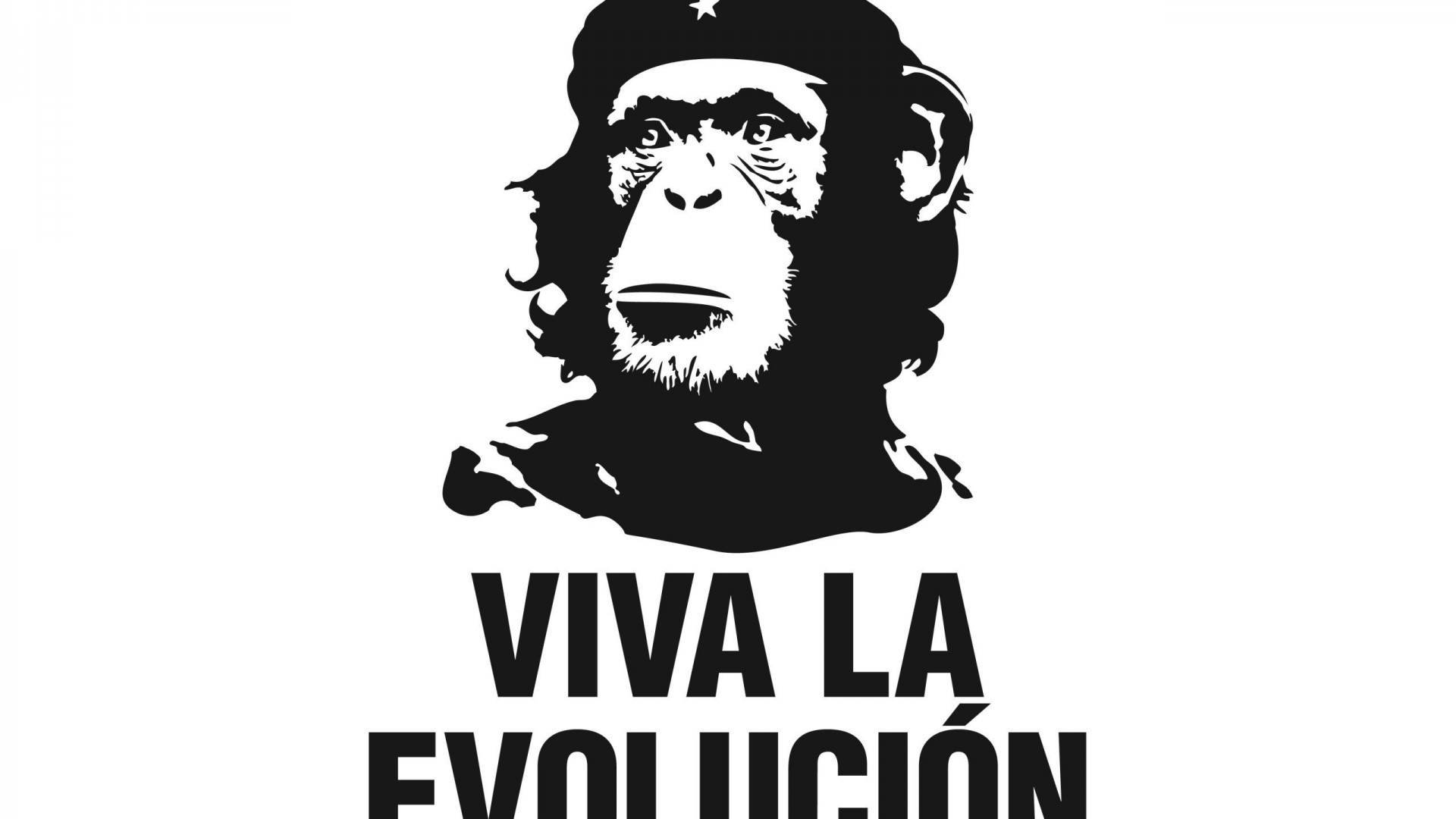 Monkey wearing Che Guevara hat with Viva La Evolucion text HD Wallpaper