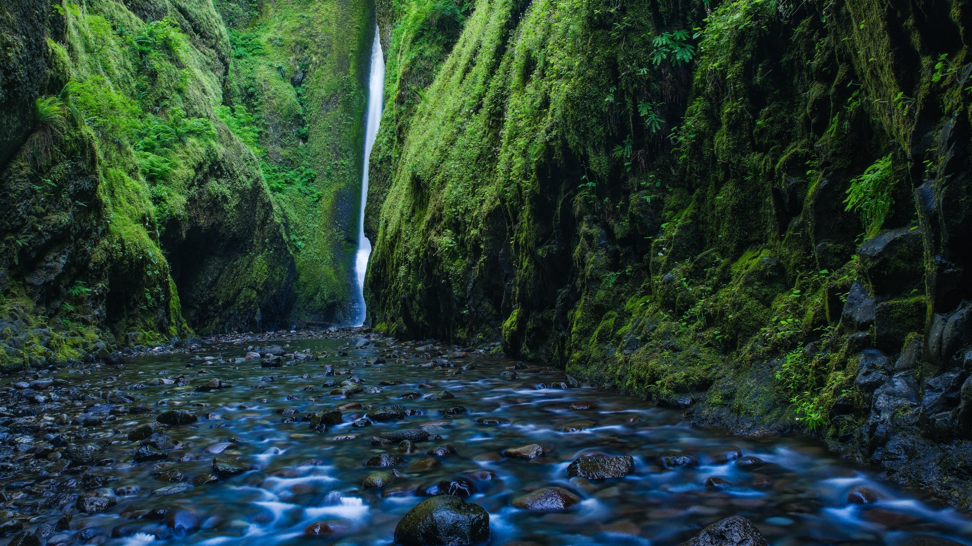 Oneonta Gorge Waterfall in Oregon HD Wallpaper