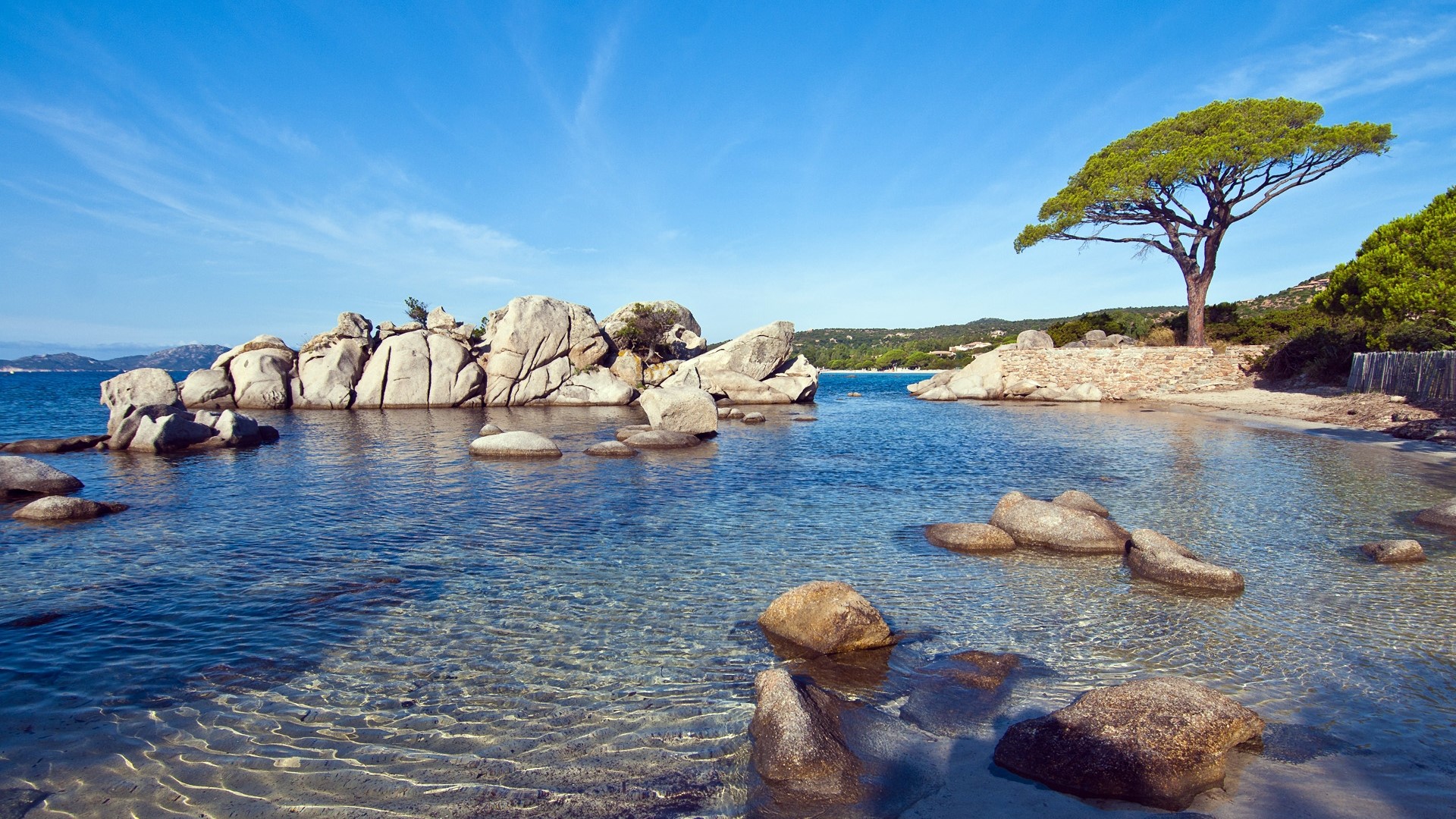 Palombaggia Beach with Rocks and Pine Tree HD Wallpaper