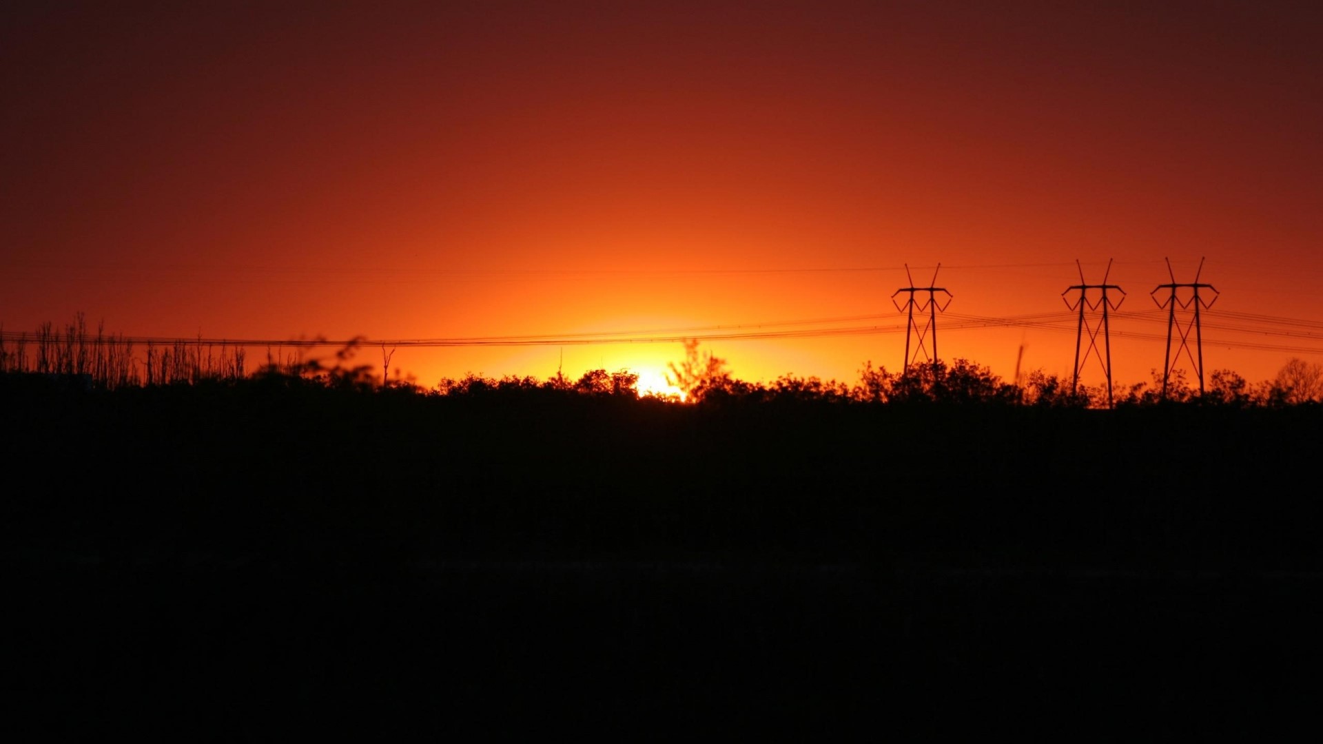Orange Sunset with Power Lines and Trees HD Wallpaper