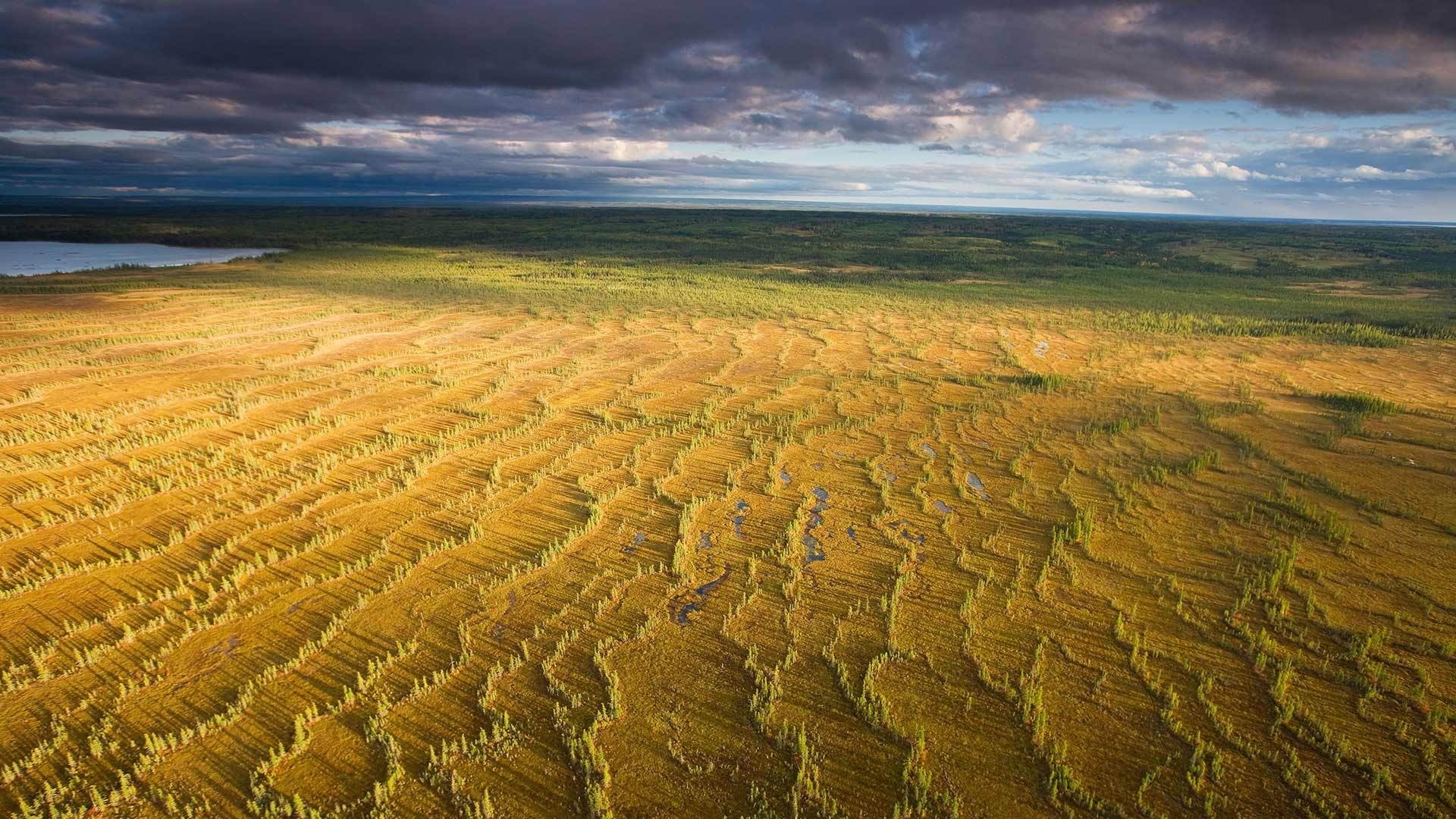 Aerial view of patterned tundra landscape with lake and forest HD Wallpaper
